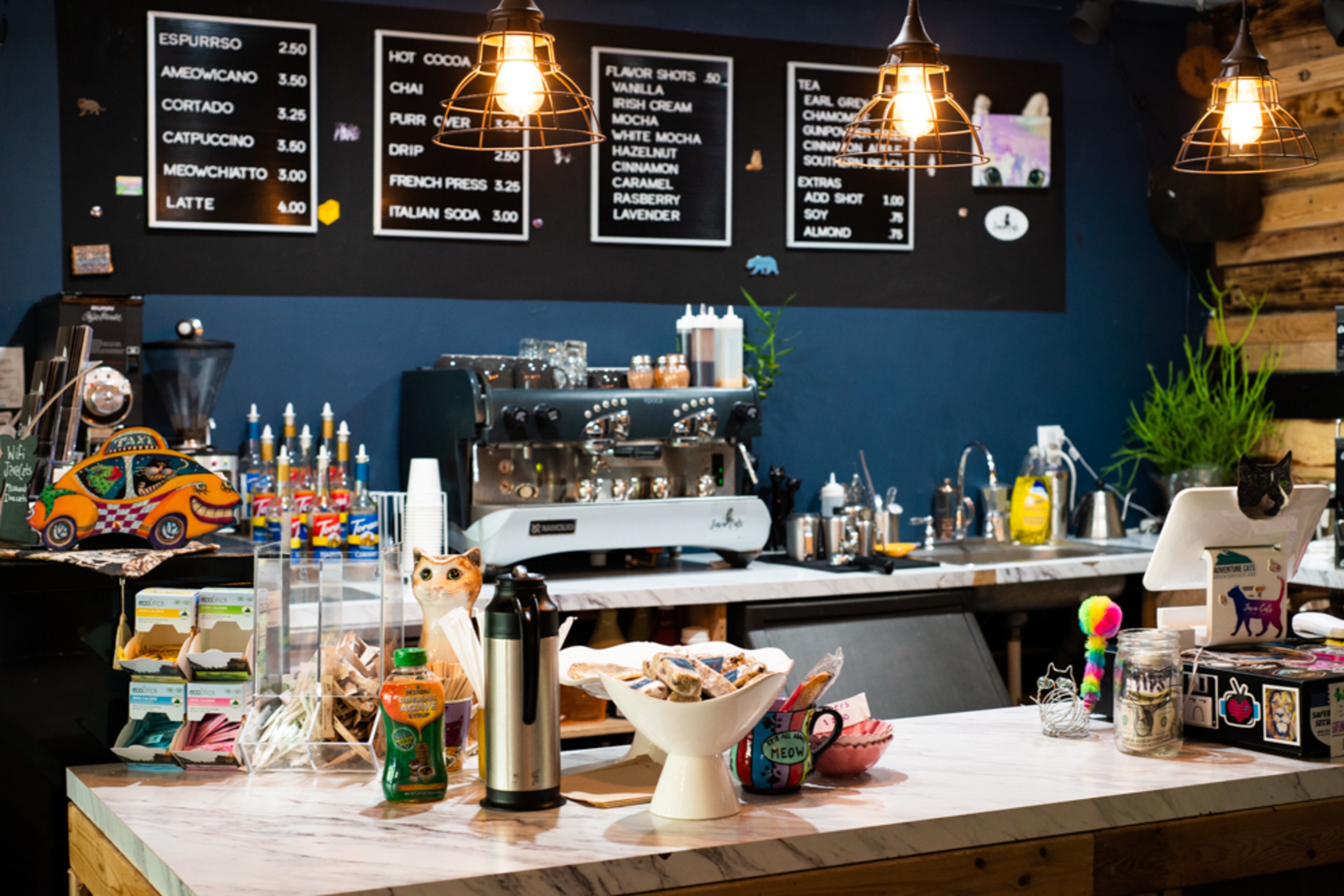 Need a different view to enjoy your morning beverage or a break in the day, drop in at Java Cats and while you're there, visit the cats.