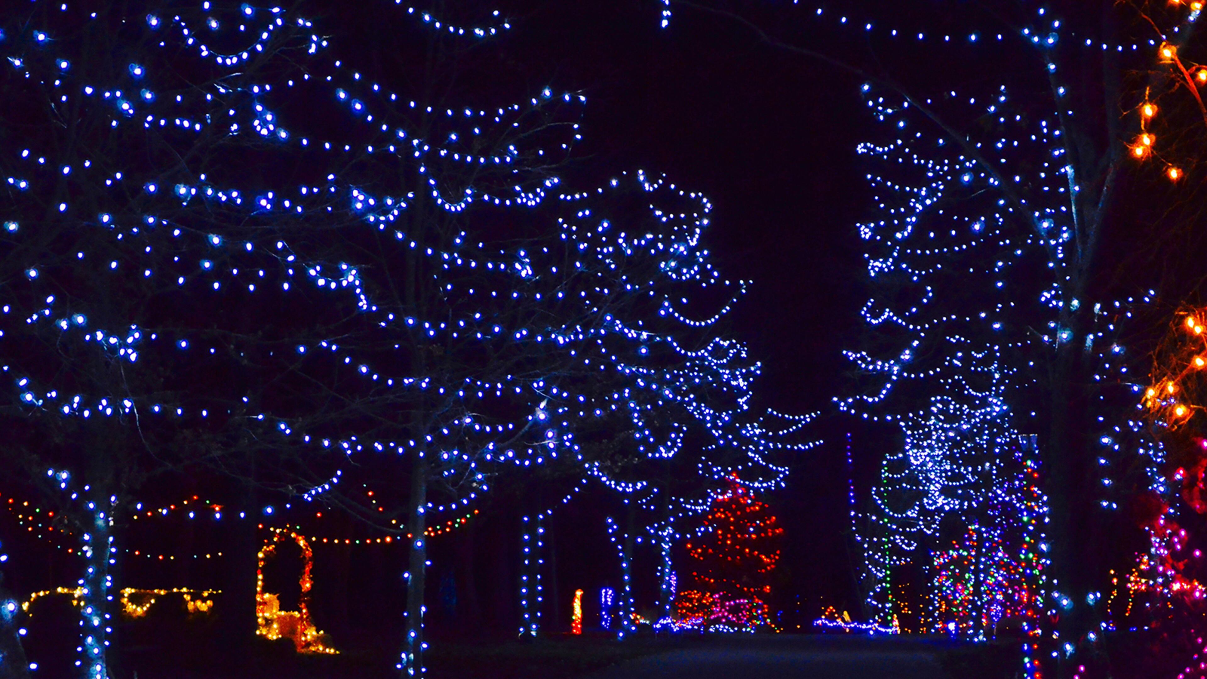 More than 150,000 people visit the drive-through displays at Holiday Fantasy of Lights at Tradewinds Park. (Contributed)