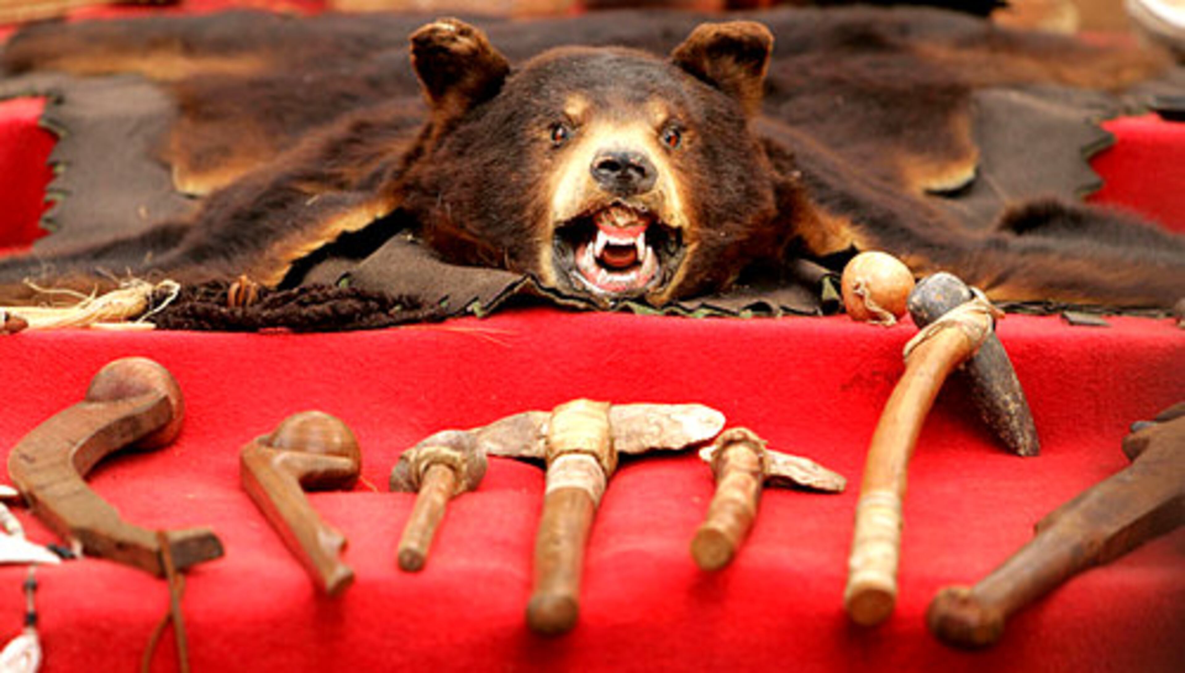 Early native Amercian tools and weapons.