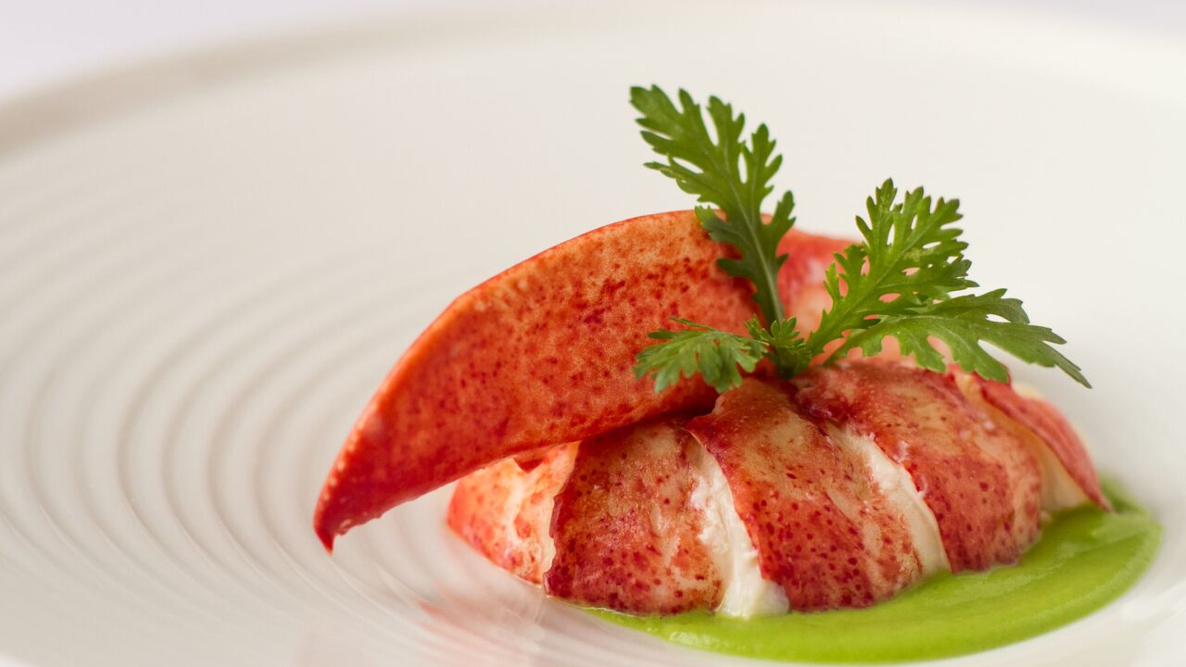 Butter-braised lobster is one of the greatest hits at Aria in Buckhead Credit: George Sanchez