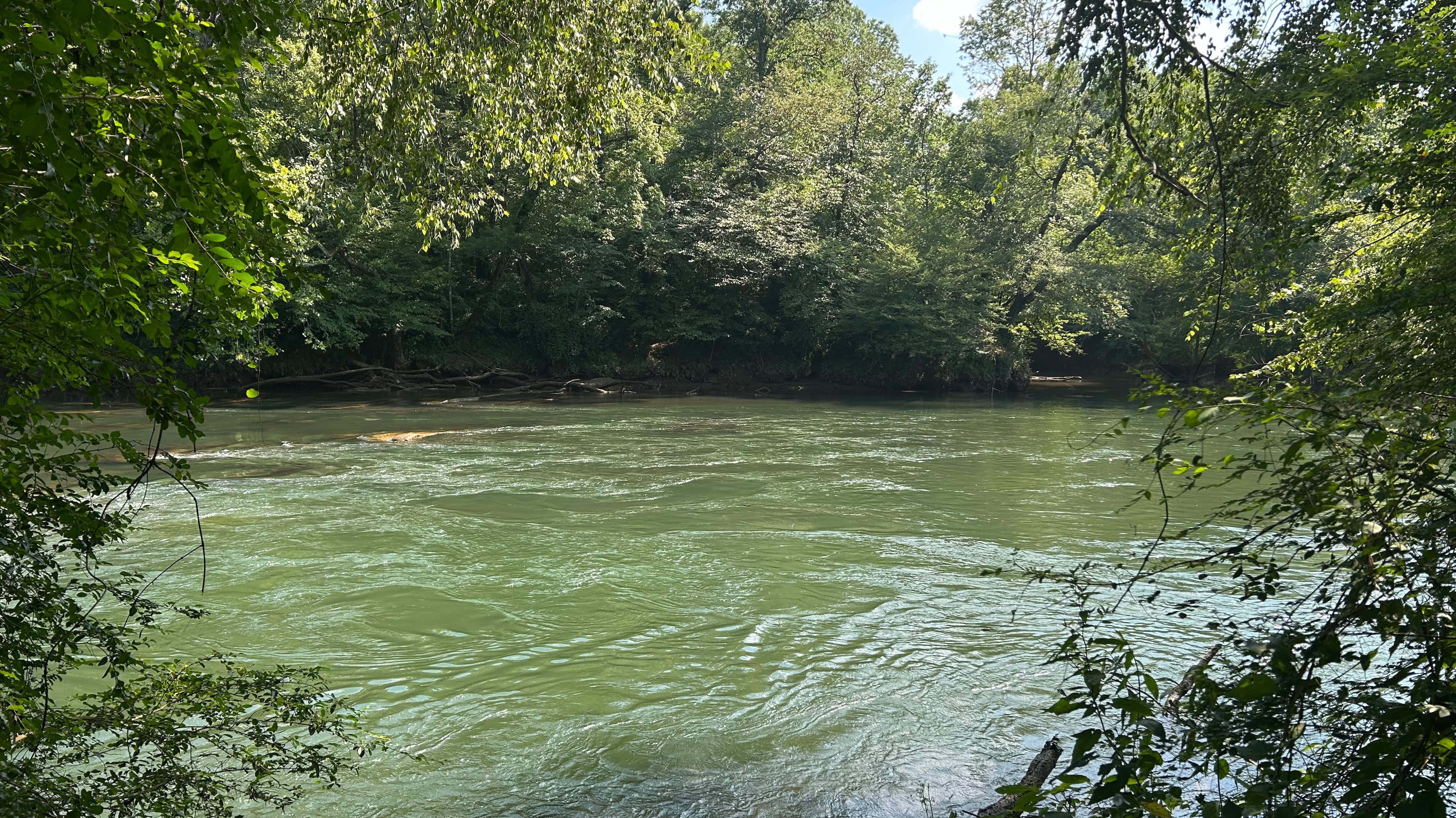 Frank Young, 59, died July 2 after going into the Chattahoochee River to save a 4-year-old girl and her mother. The cause of death was drowning. (Thomas Lake/AJC)