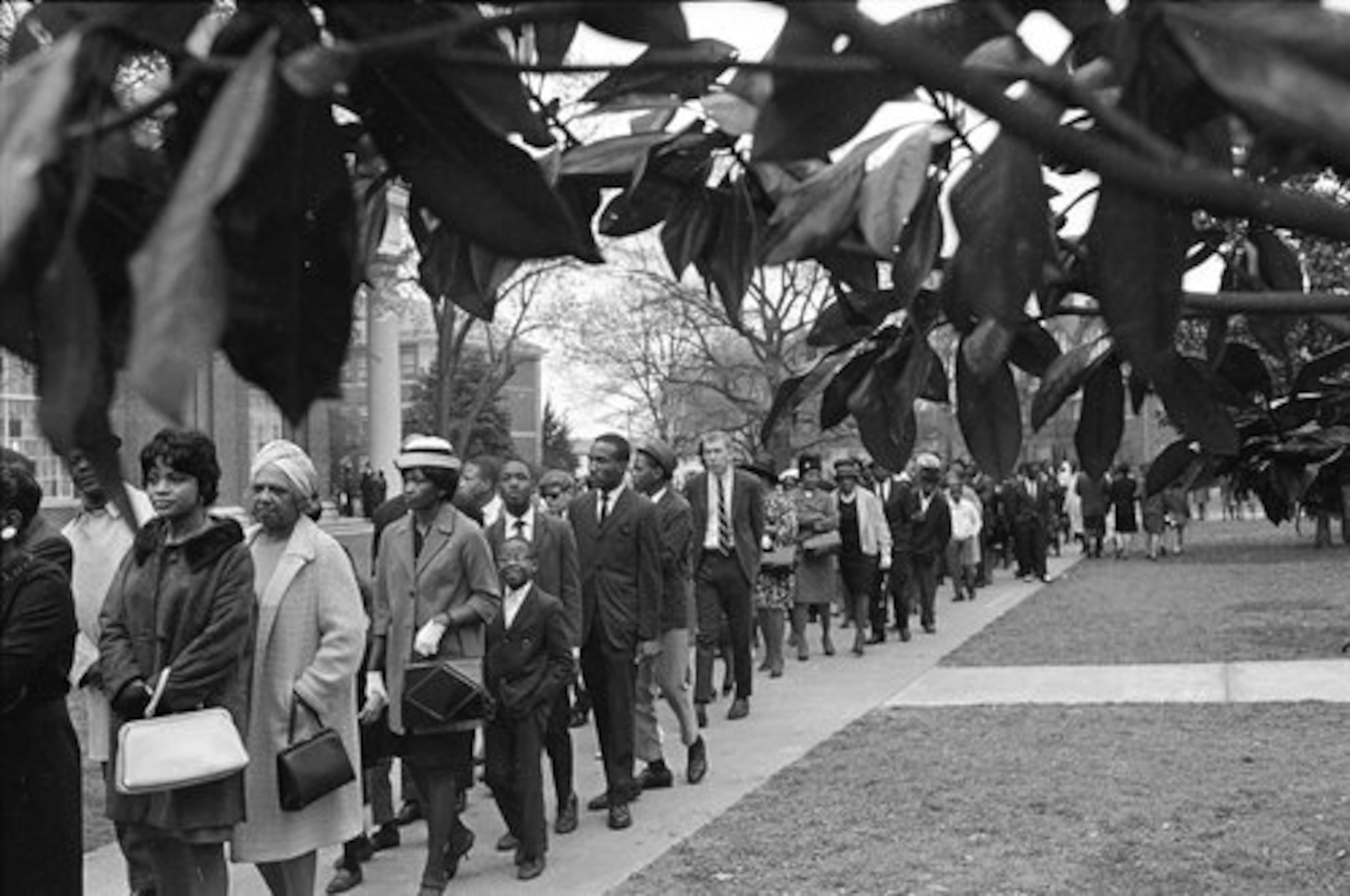Magnolia leaves frame some of the thousands of mourners who lined up to view the body of slain civil rights leader, Dr. Martin Luther King, Jr., in Atlanta, April 7, 1968.