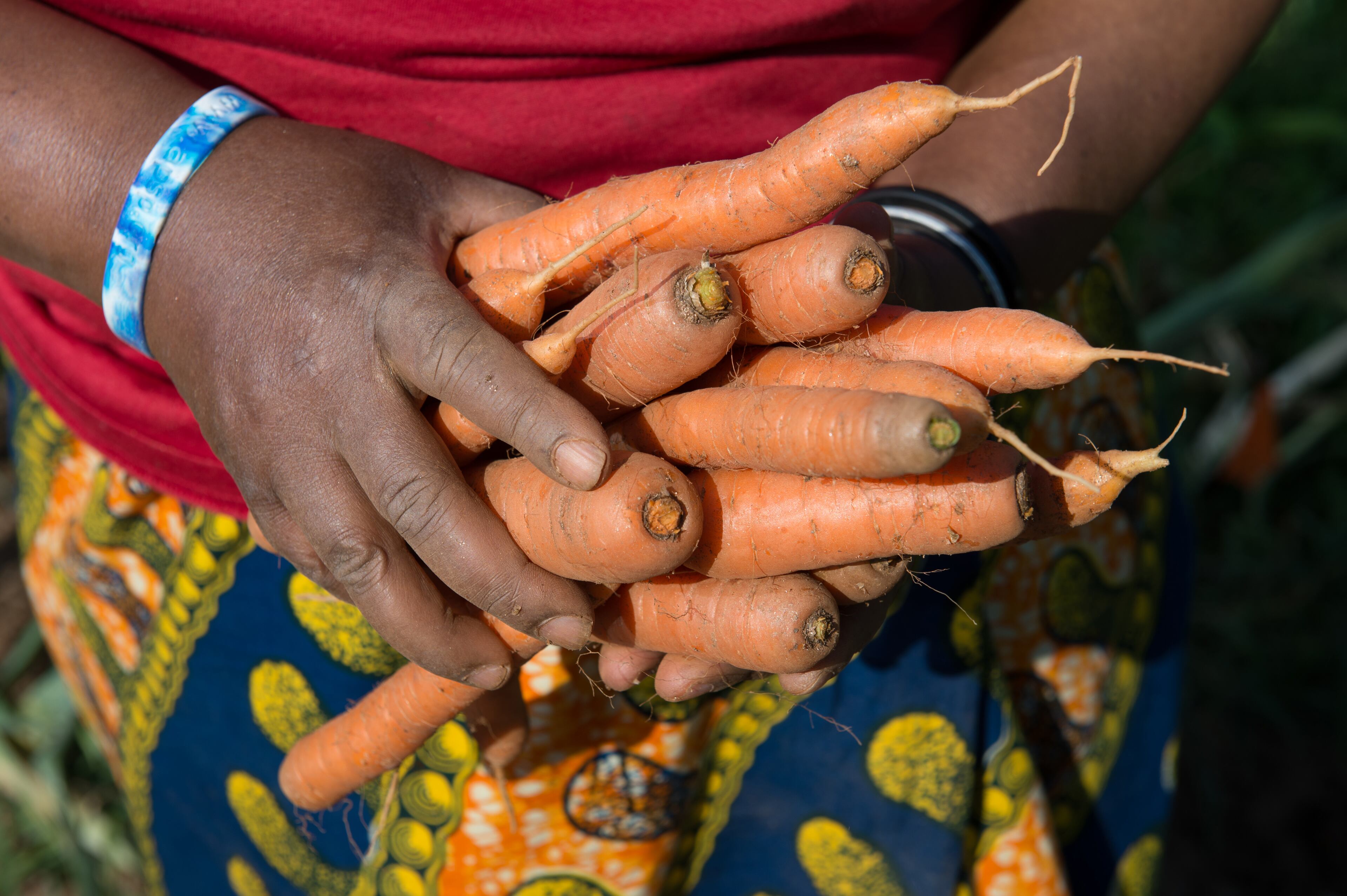 Halieth Hatungimana shows the carrots she harvested at Burundi Women's Farm in Decatur on Saturday, July 5, 2014. HYOSUB SHIN / HSHIN@AJC.COM