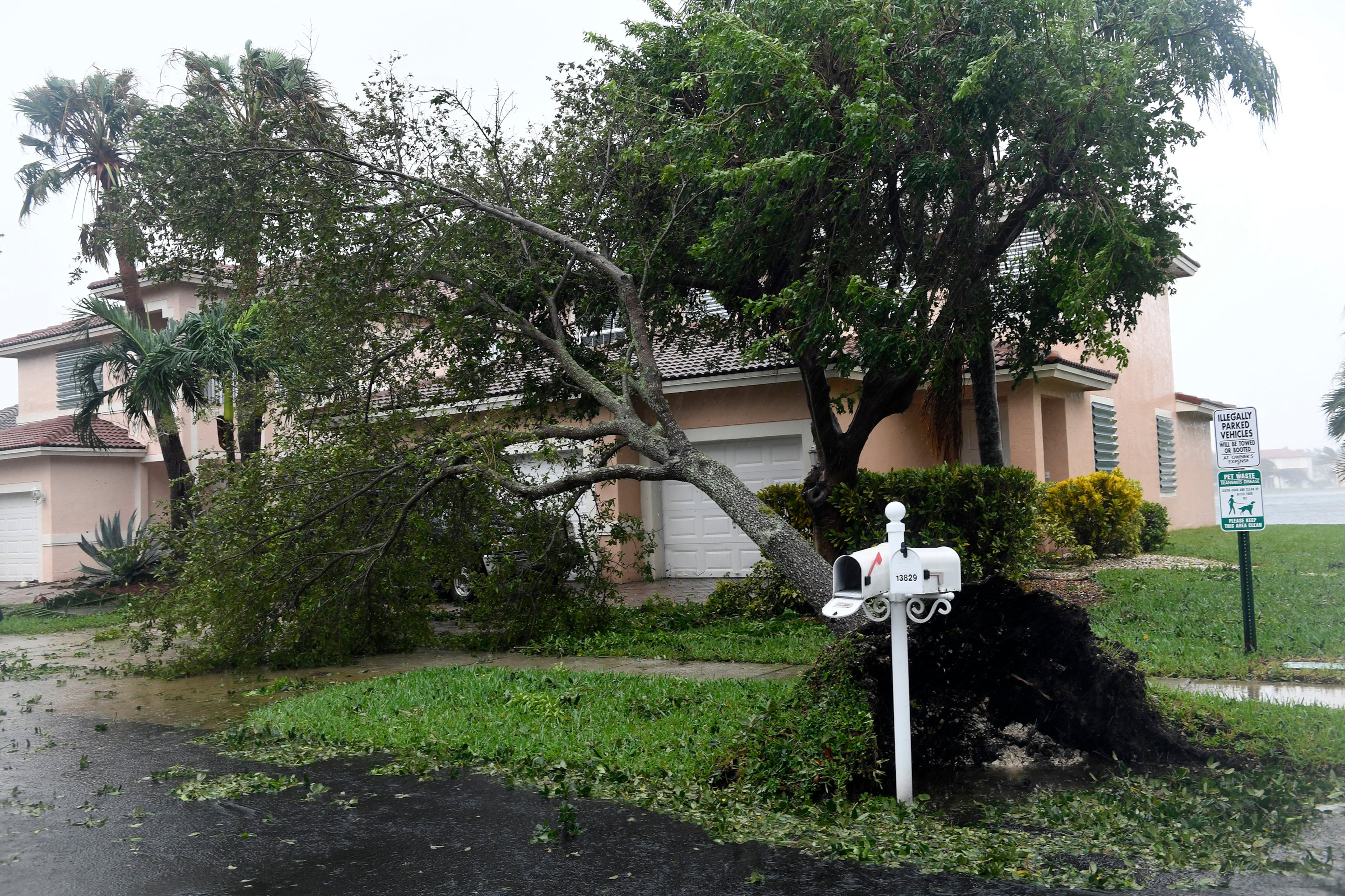 Debris lies on the ground as Hurricane Irma hits the area in West Miramar, Fla., Sunday, Sept. 10, 2017. (Taimy Alvarez/South Florida Sun-Sentinel via AP)