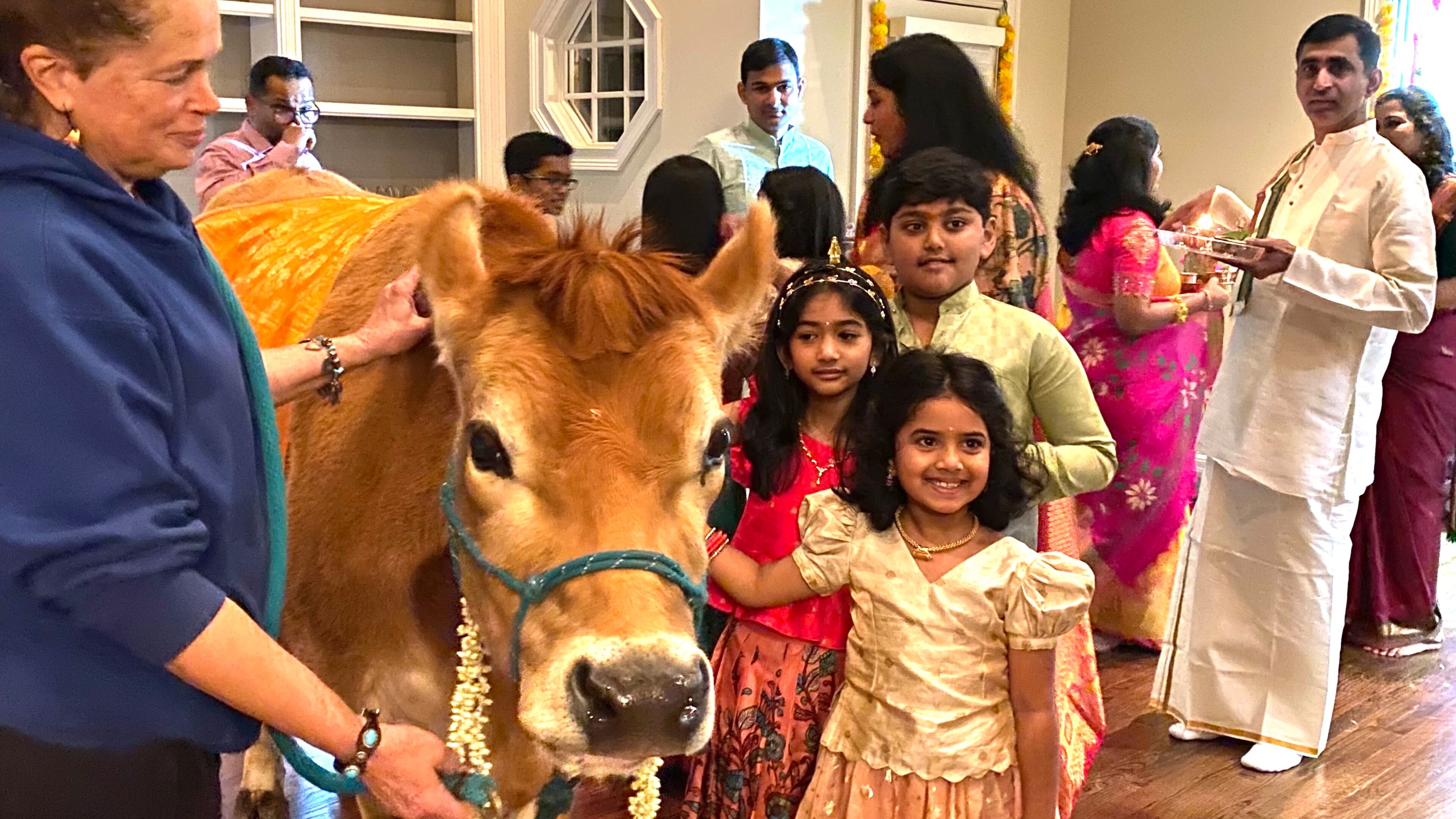 Daydream Rescue Sanctuary owner Deborah Andrews, left, brings Annabelle to a Hindu housewarming.
Courtesy of Daydream Rescue Sanctuary