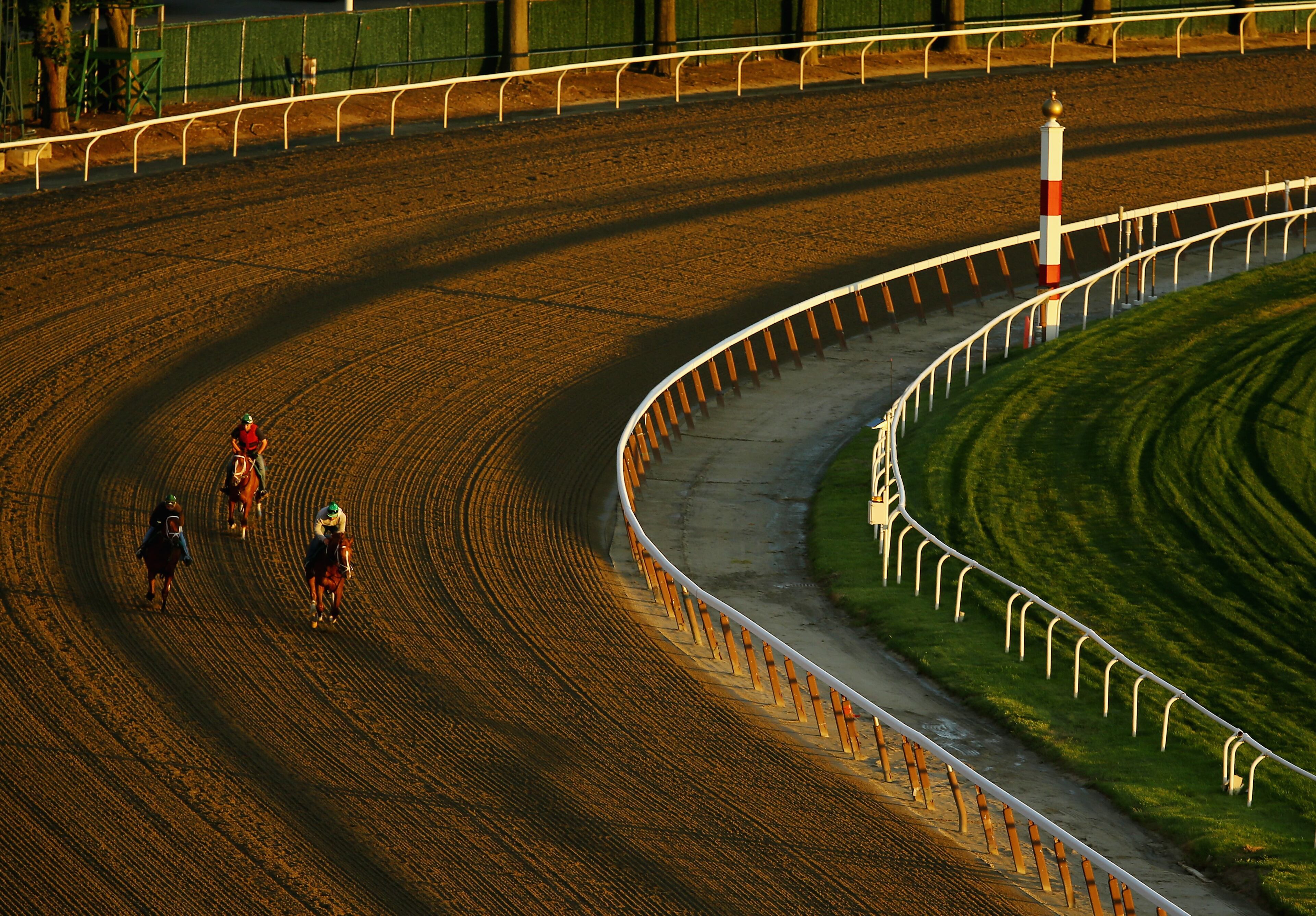ELMONT, NY - JUNE 06: A general view of horses and exercise riders training on the main track at Belmont Park on June 6, 2014 in Elmont, New York (Photo by Al Bello/Getty Images)
