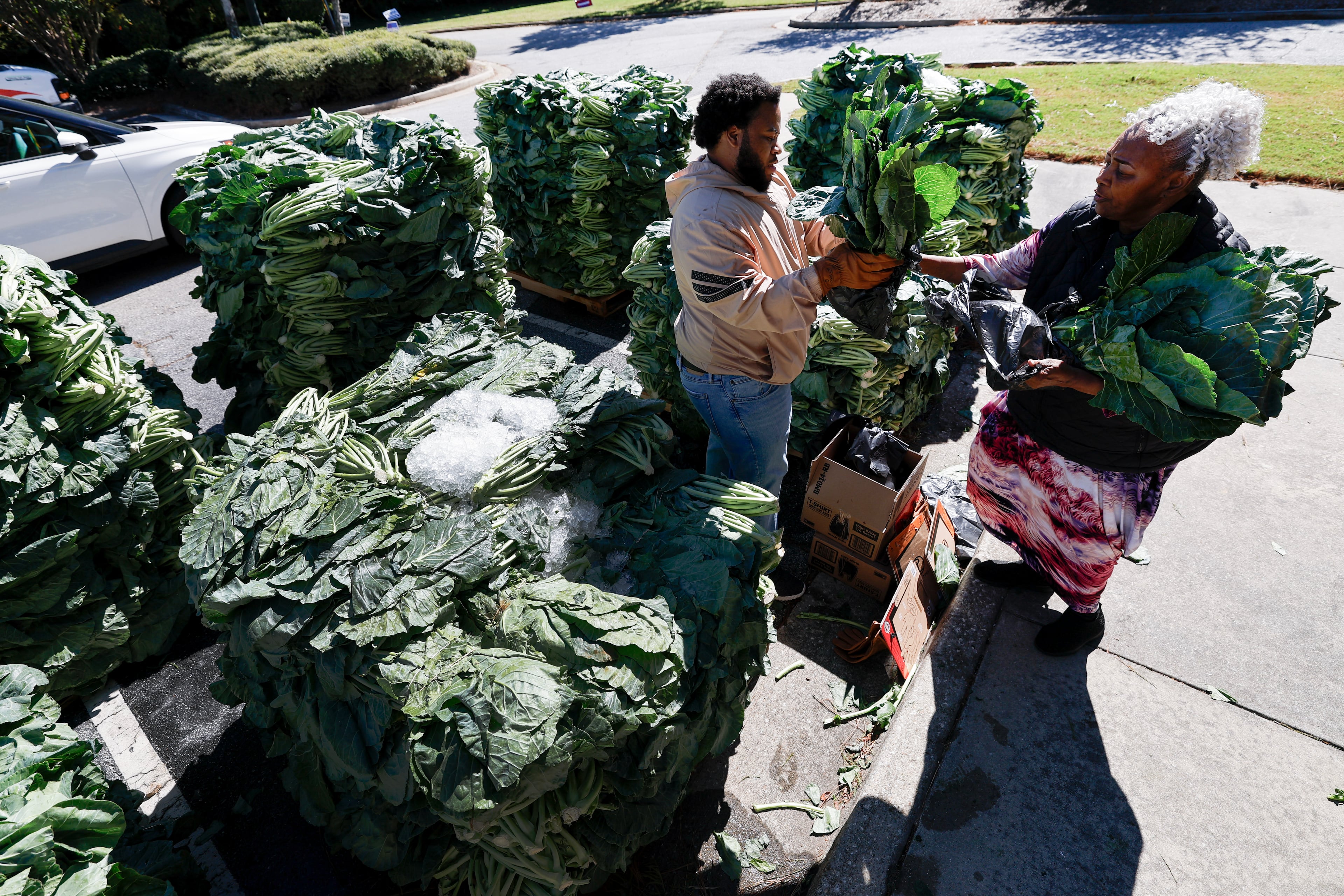 Kenneth Thompson helps distribute free collard greens during a “No Kings: Vote Early Atlanta” event at the C.T. Martin Natatorium and Recreation Center, a Fulton County early voting location, on Saturday, Oct. 17, 2026, in Atlanta. (Erik S. Lesser for the AJC)