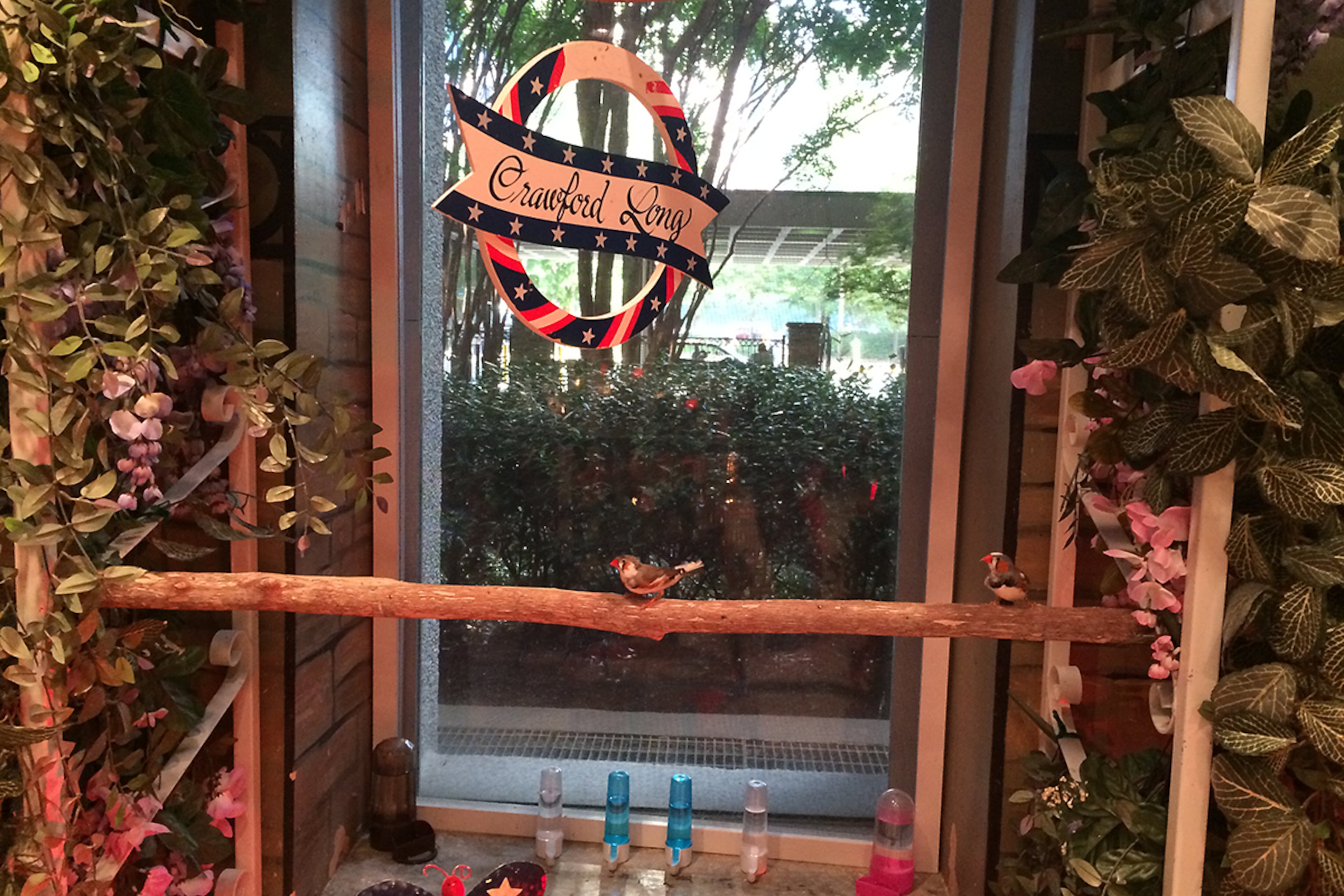 Two aviaries are tucked into the corridors at Emory University Hospital Midtown.