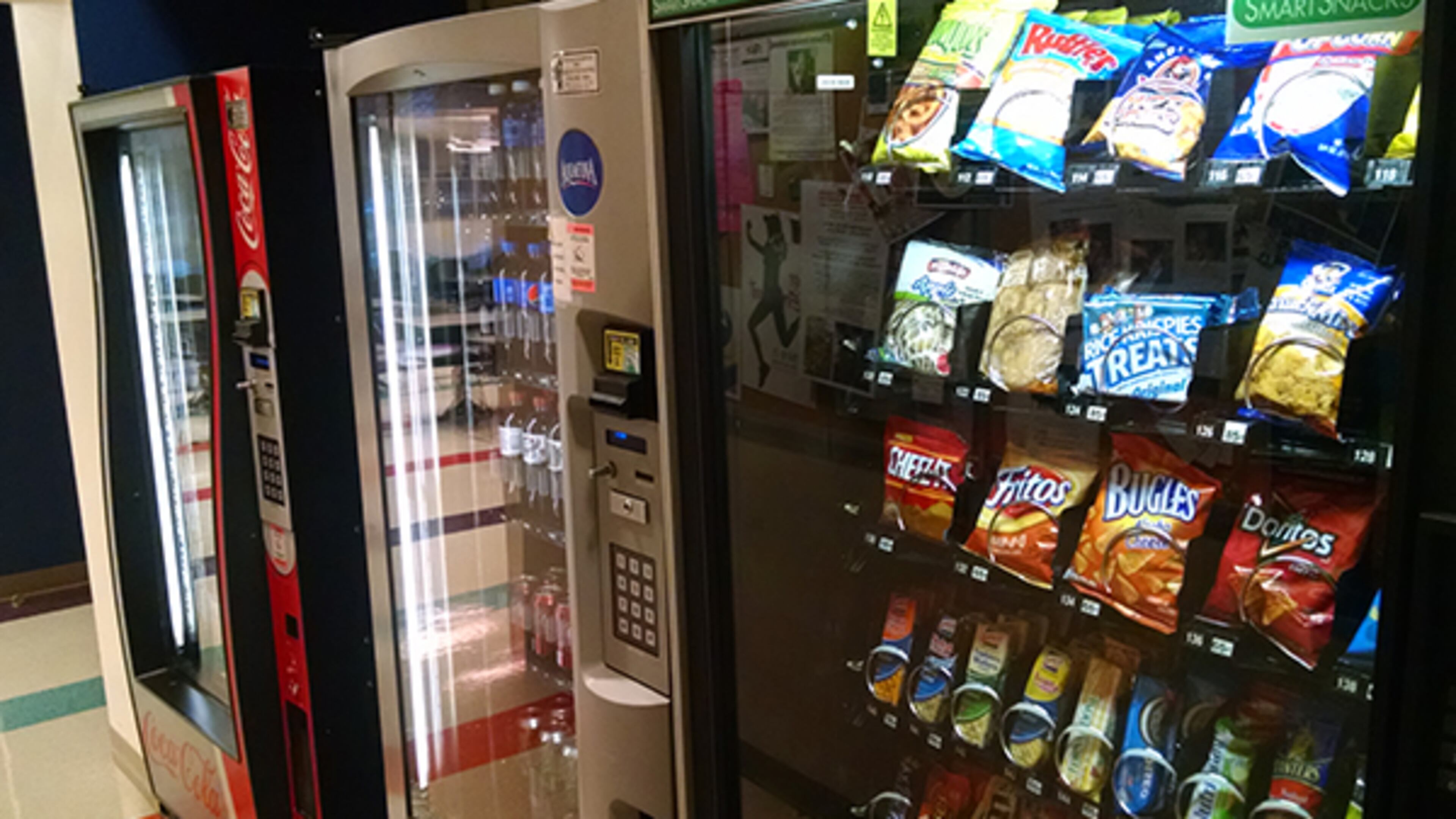 Enjoy them while they are stupid. (Photo by Me)