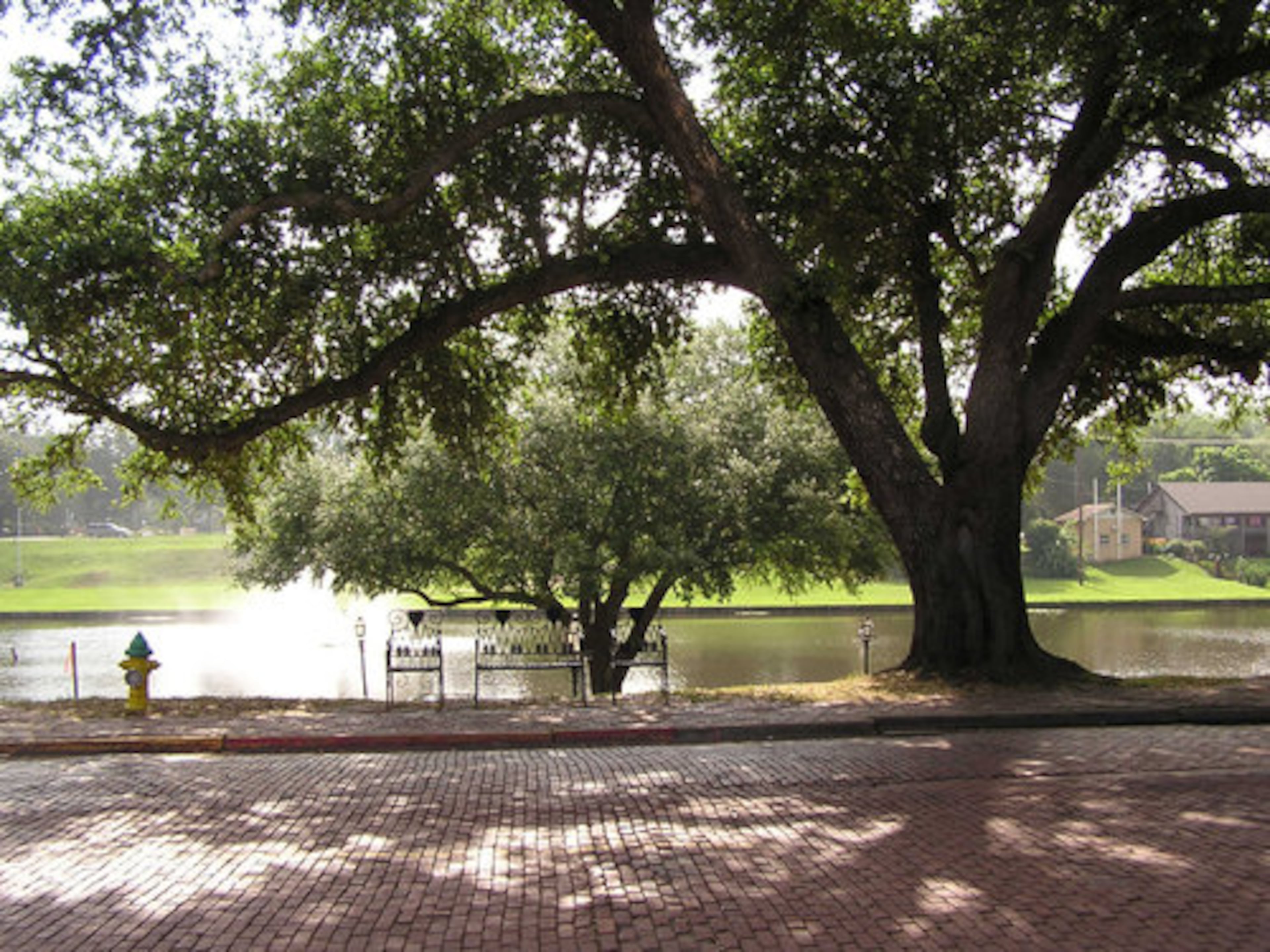 A lovely view in Natchitoches, La.