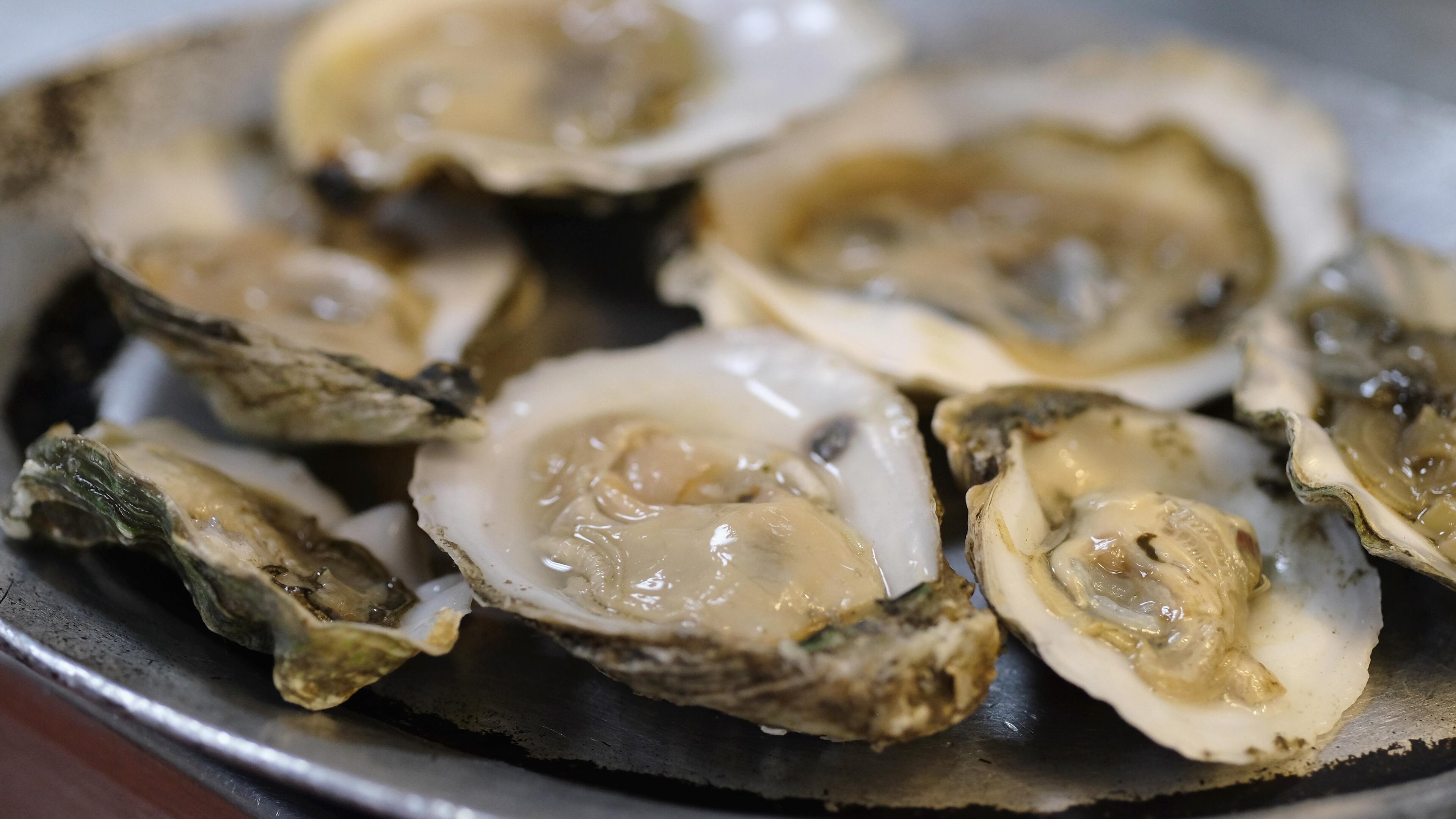 A woman died after contracting vibriosis after consuming raw oysters during a trip with family and friends.