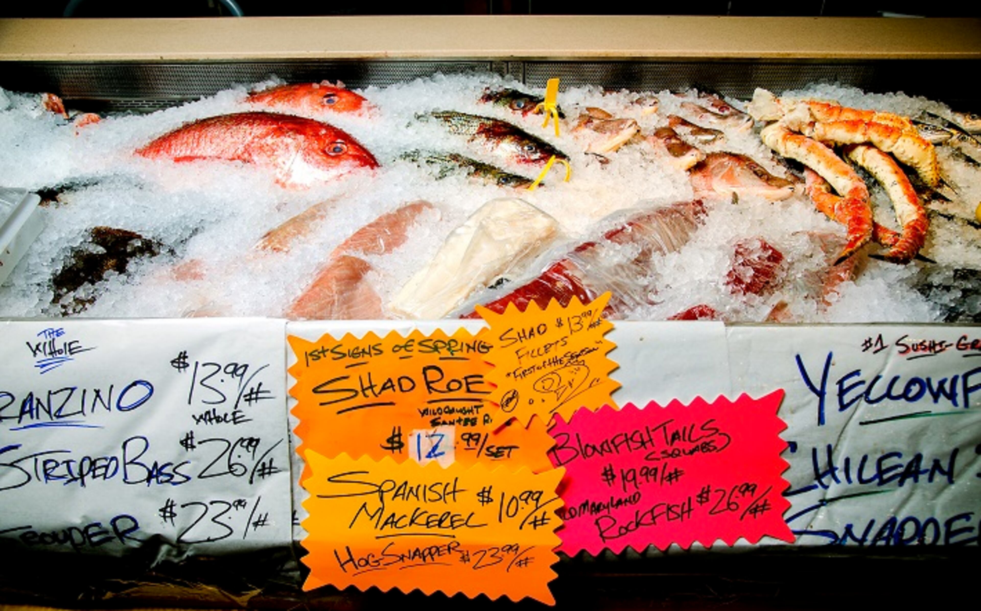 Fish on display in a cooler at the counter at Penn Avenue Fish Company in the Strip District on Feb. 22, 2017. (Andrew Rush/Pittsburgh Post-Gazette/TNS)