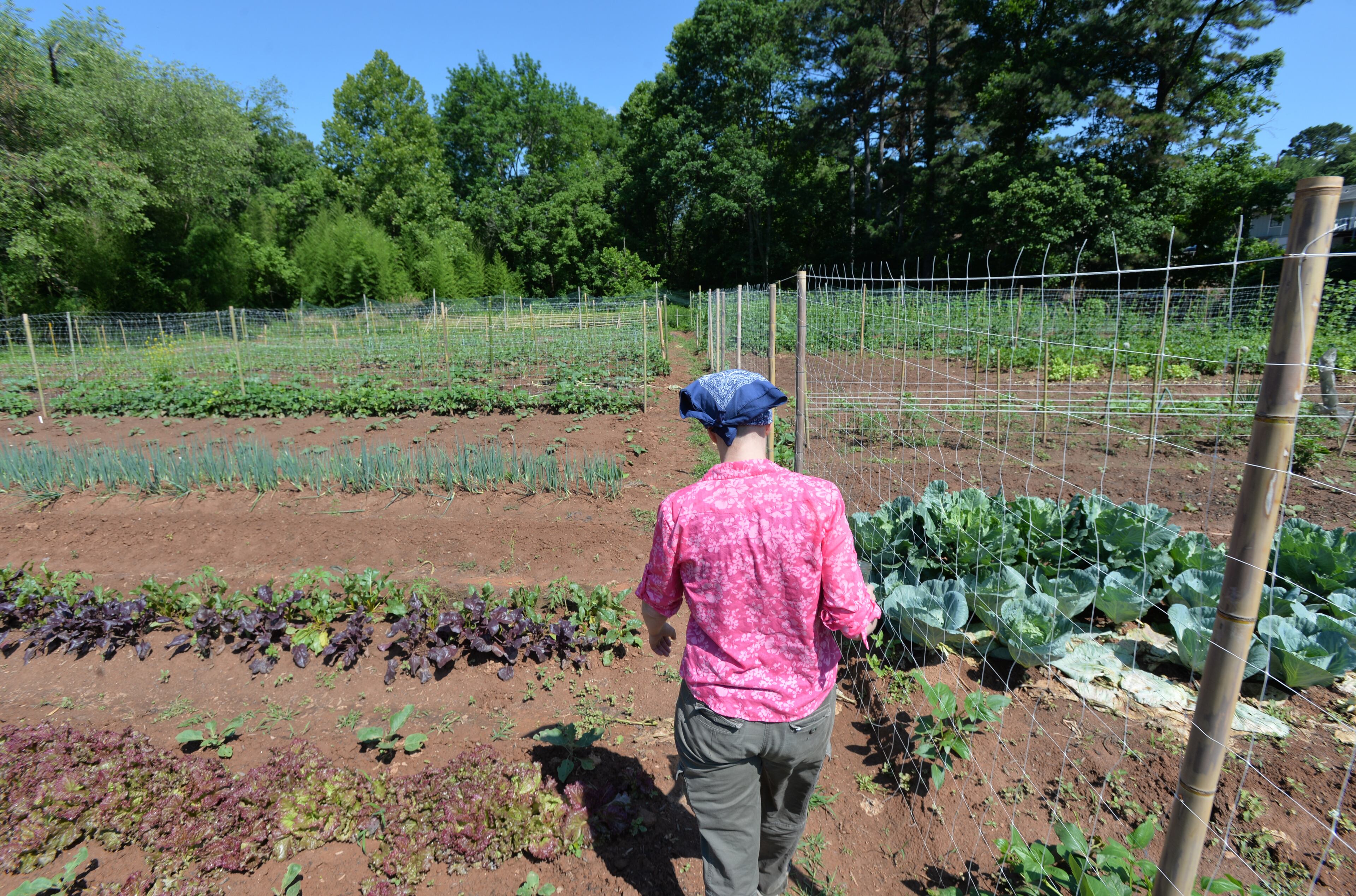 Susan Pavlin, founder of Global Growers Network, visits Bamboo Creek Farm, one of Global Growers' farms, in Stone Mountain on Saturday, June 14, 2014. HYOSUB SHIN / HSHIN@AJC.COM