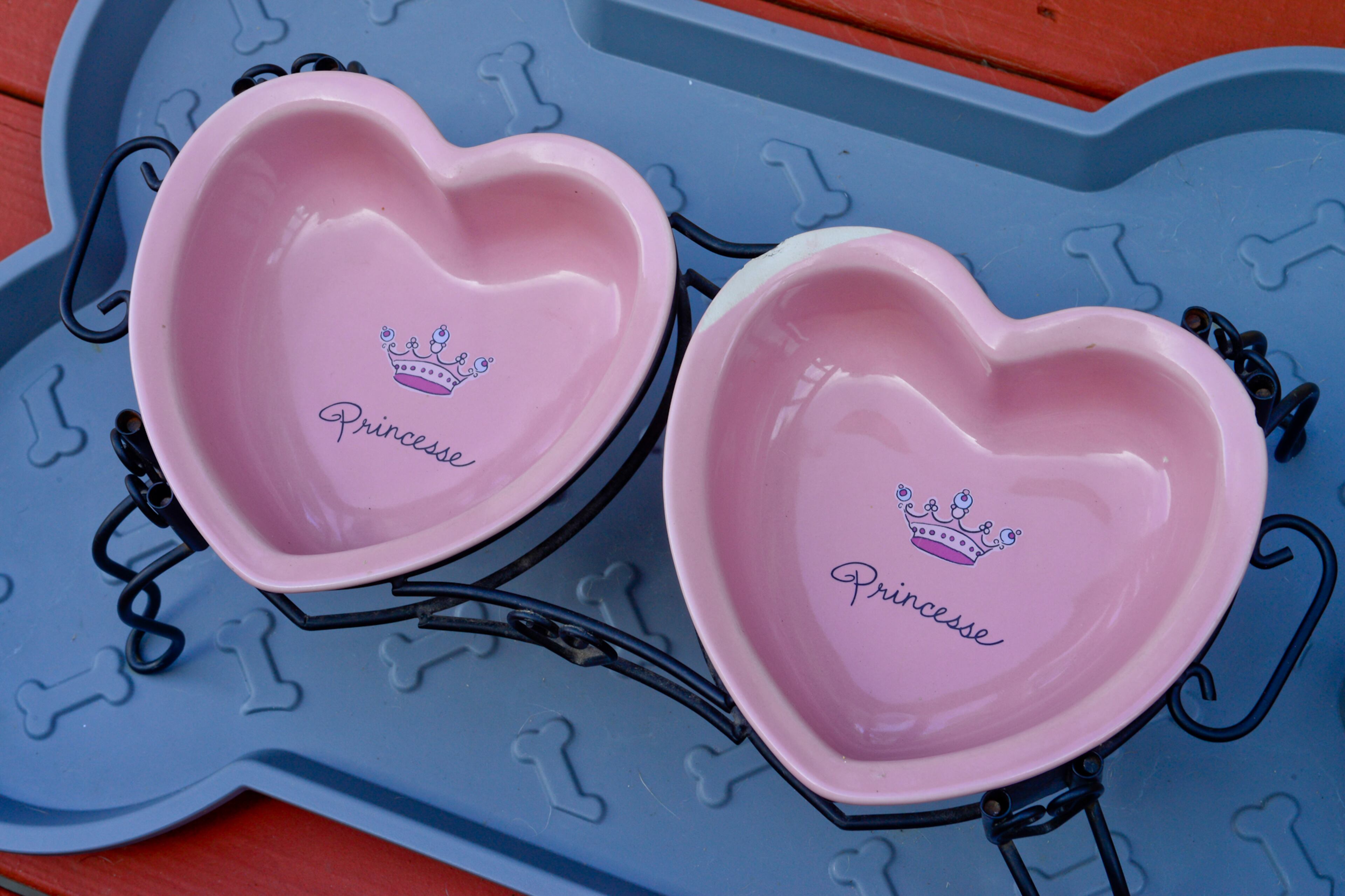 Puggles Mika and Bentley get the royal treatment with adorable dog bowls.