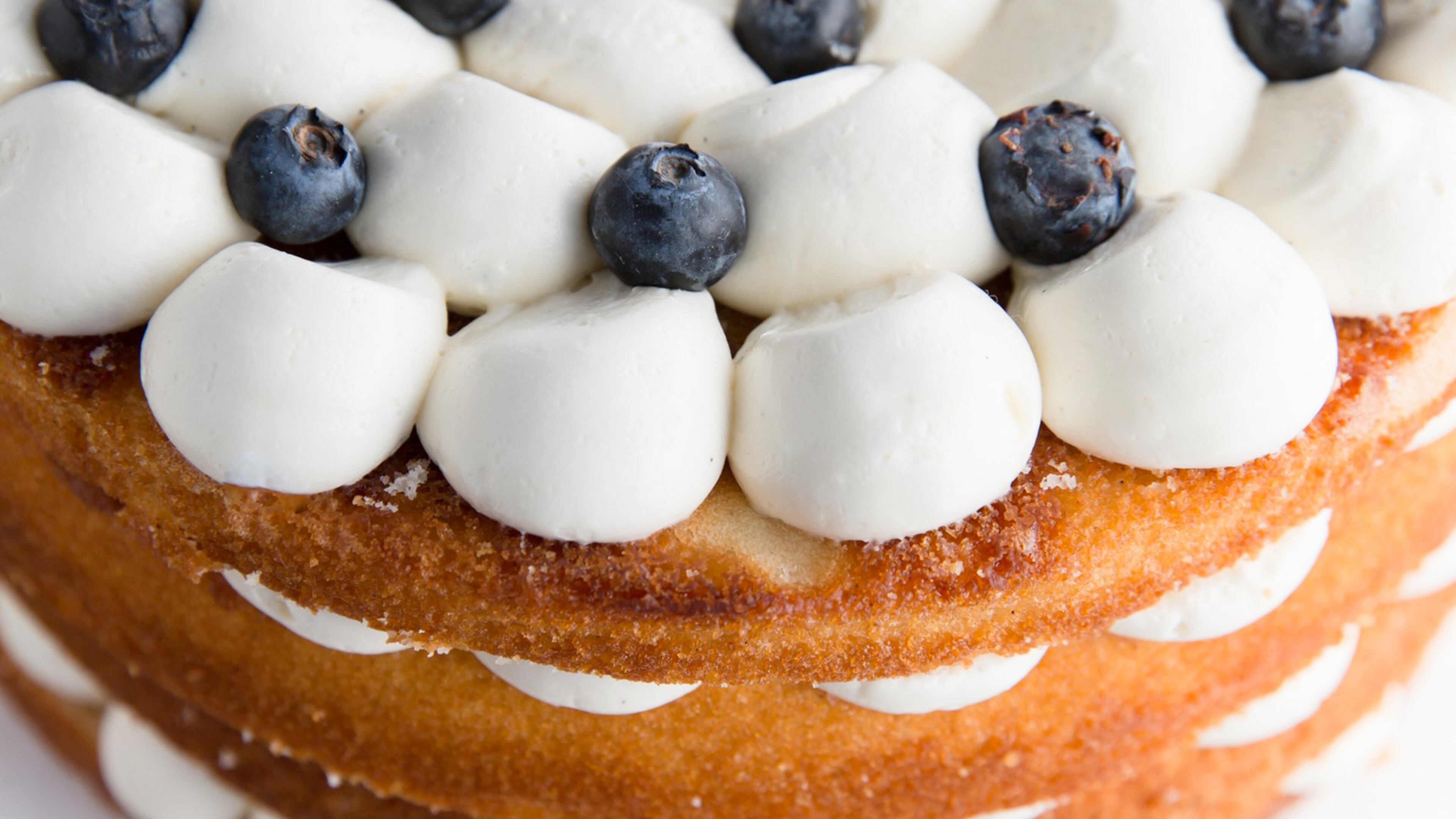 CONTRIBUTED BY AMY SINCLAIR