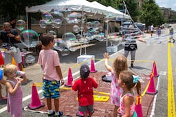 Brookhaven Cherry Blossom Festival