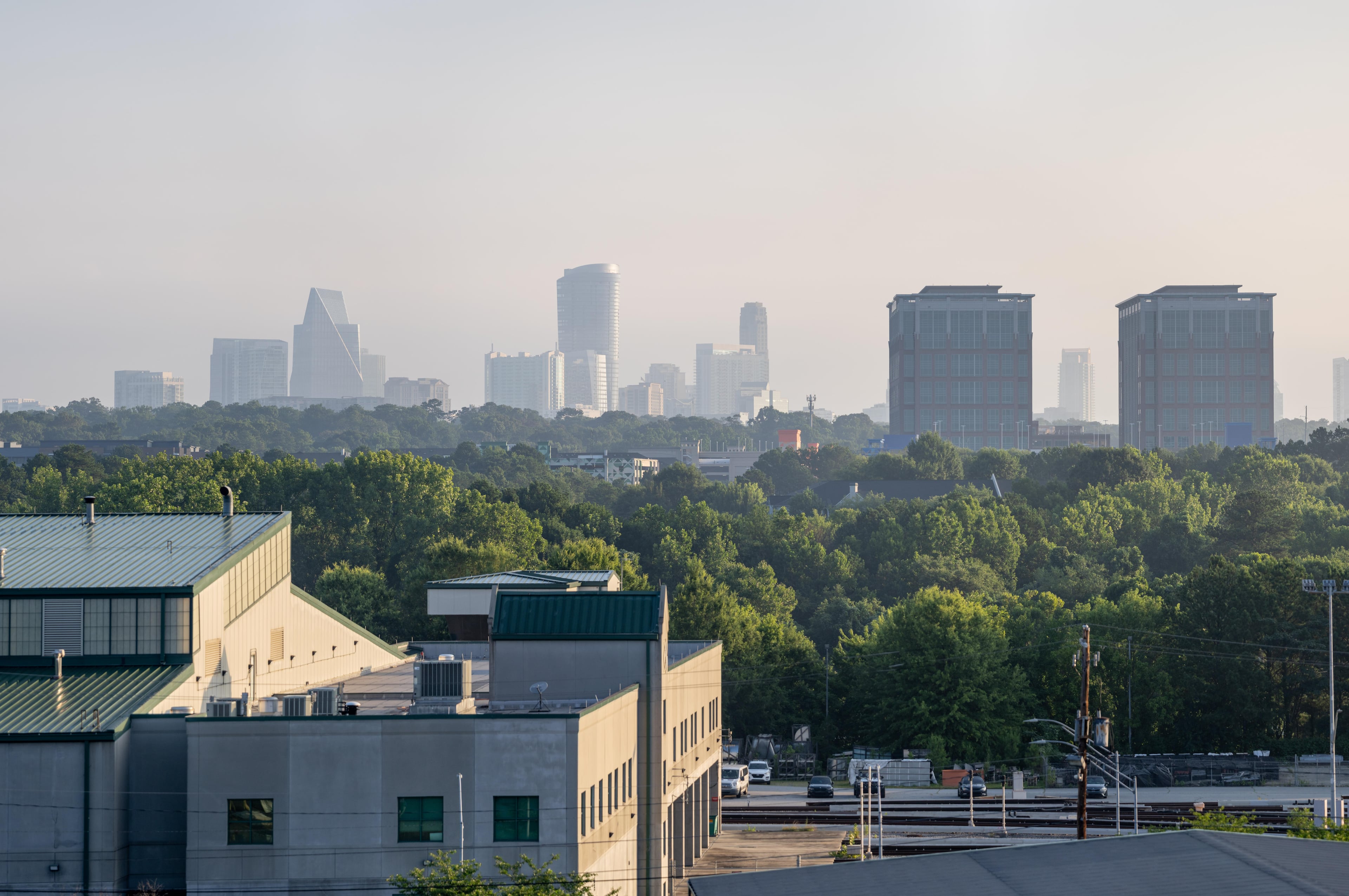 Atlanta tree survey revives debate about canopy protection
