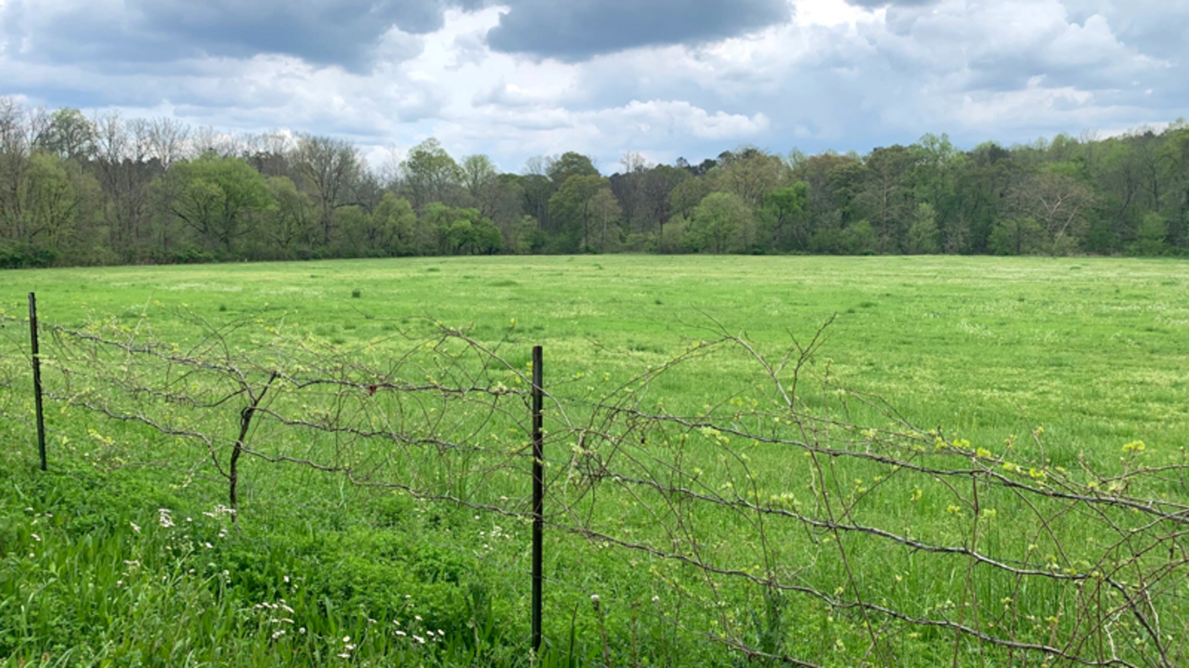 Cherokee County Recreation & Parks is asking the public to help it decide on a park name for 23 acres recently acquired near Ball Ground.