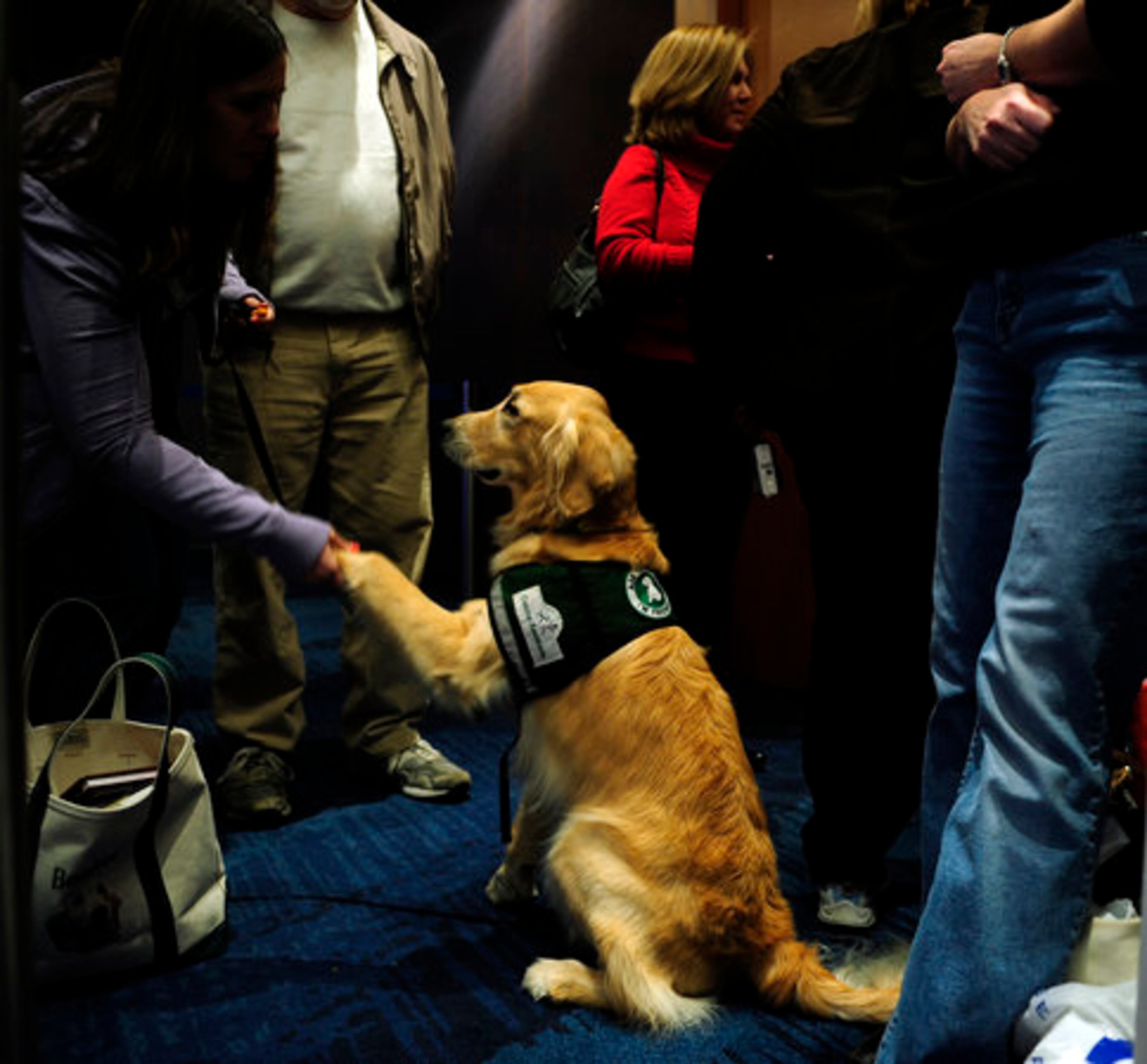 Beaker the service dog makes friends in the crowd.