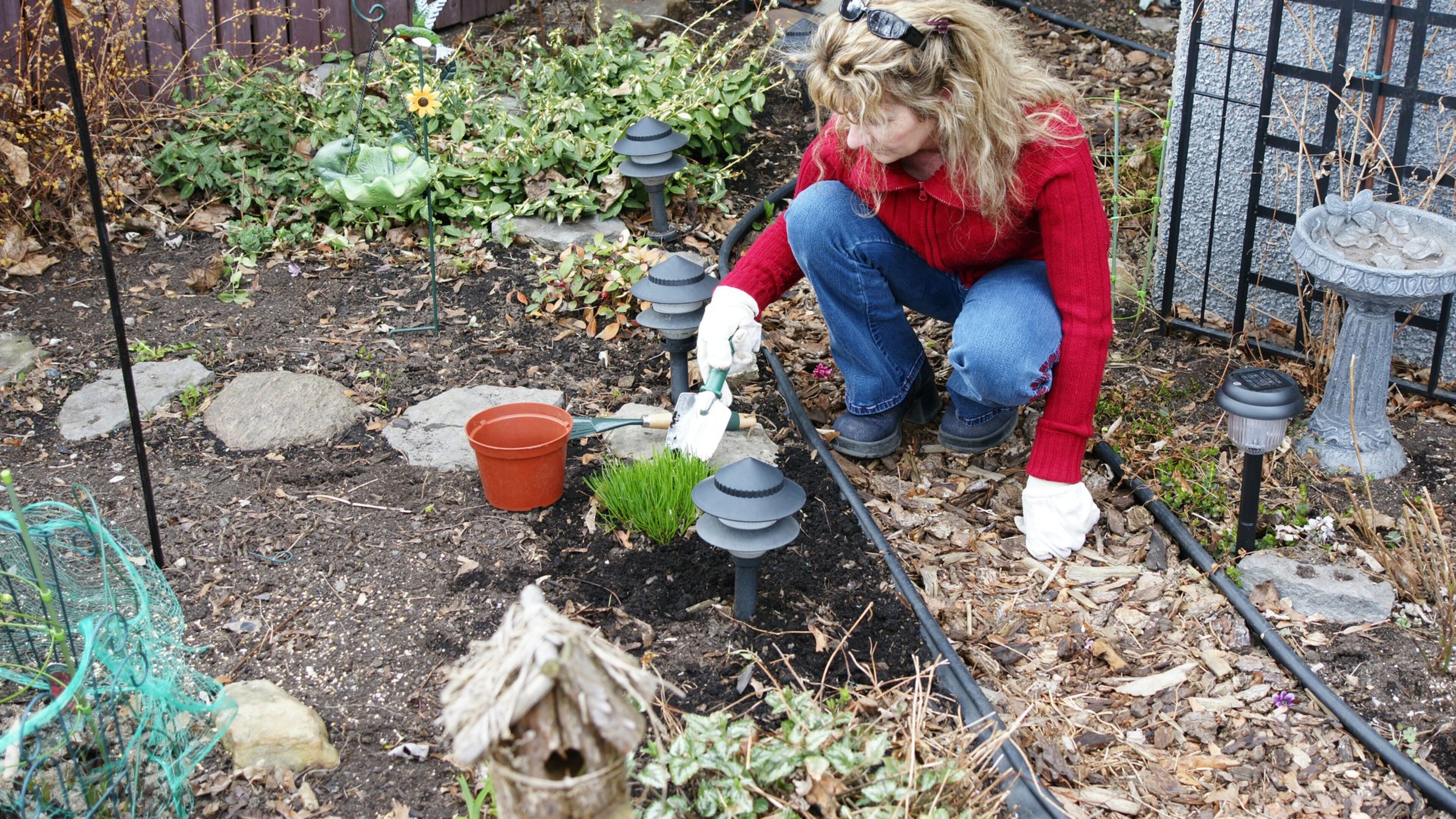 Autumn offers no shortage of opportunities in the garden, from bulb buying and planting, to setting out new shrubs and trees, moving perennials, fretting over newly seeded lawns and otherwise tidying up. (Dreamstime/TNS)