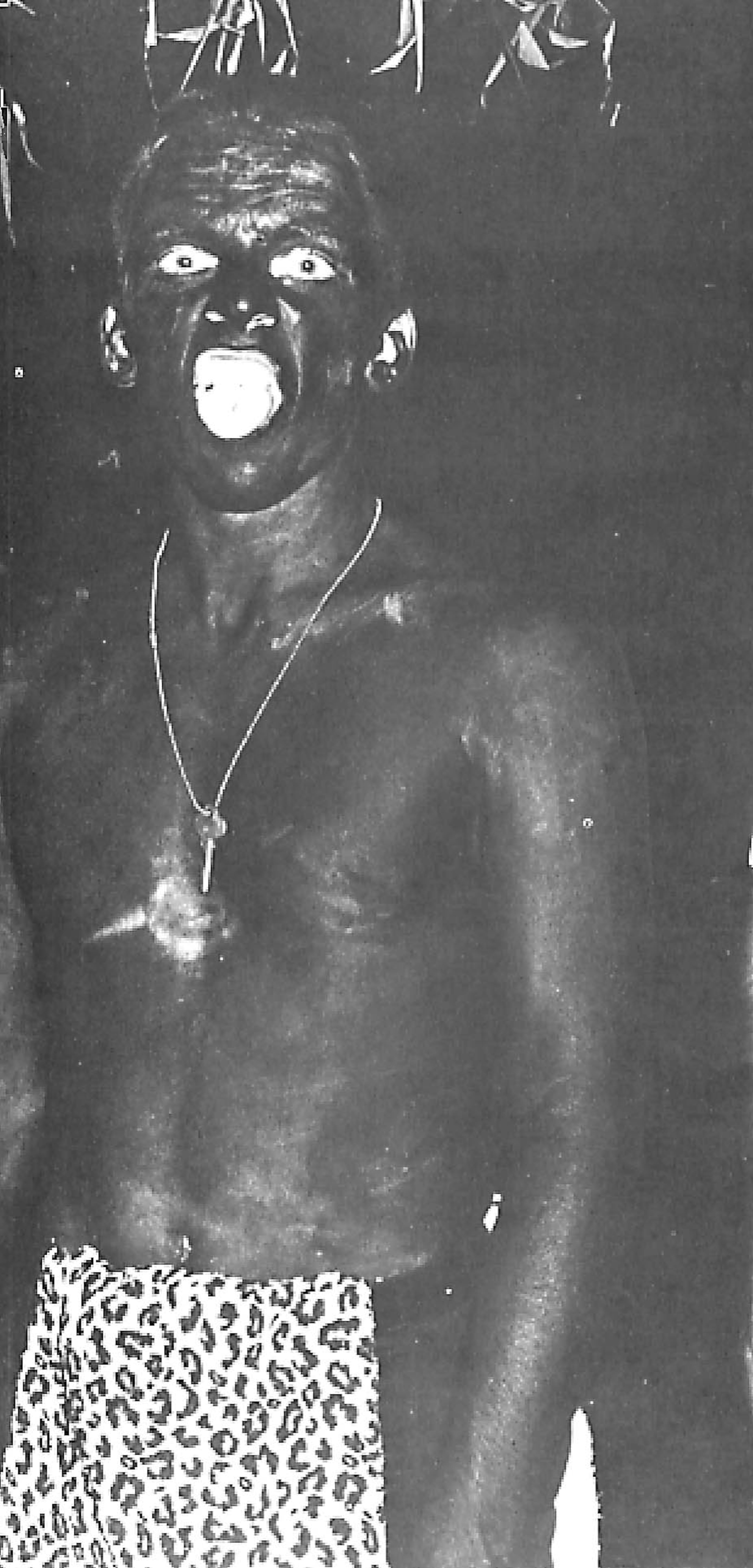 In a 1969 Georgia Tech yearbook, a student can be seen in blackface.