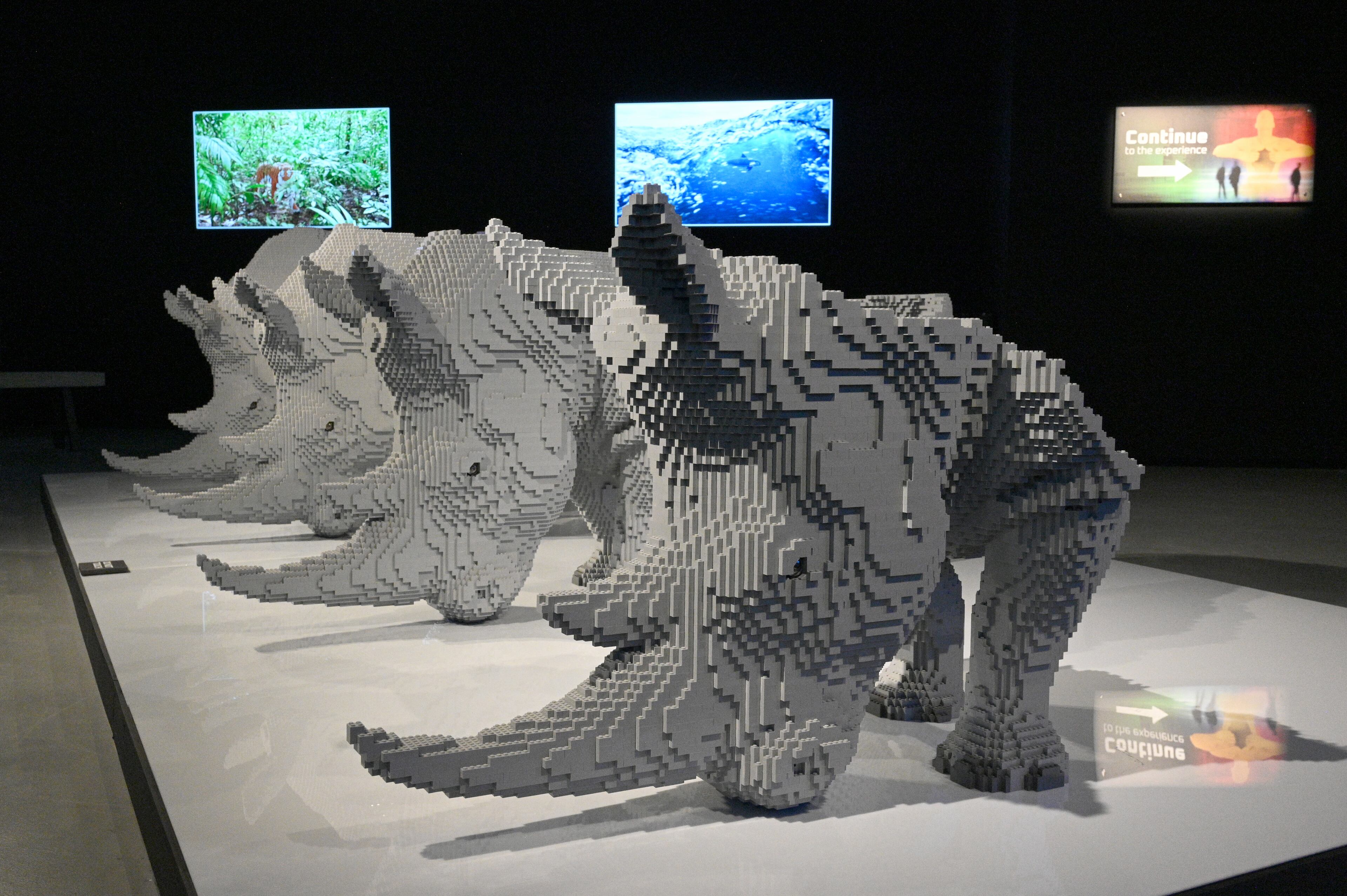 “Northern White Rhinoceros Progression to Extinction” made with 118,423 Lego bricks at "Art of the Brick Immersive Experience" exhibition at Exhibition Hub Atlanta Art Centre, Wednesday, April 19, 2023, in Doraville. The exhibition will feature many pieces and themes, including a room with oversized sculptures (25-foot long), over 70 works of art crafted from more than 1 million LEGO bricks, galleries celebrating human-kind and nature, and a short documentary about how Nathan creates his works. (Hyosub Shin / Hyosub.Shin@ajc.com)