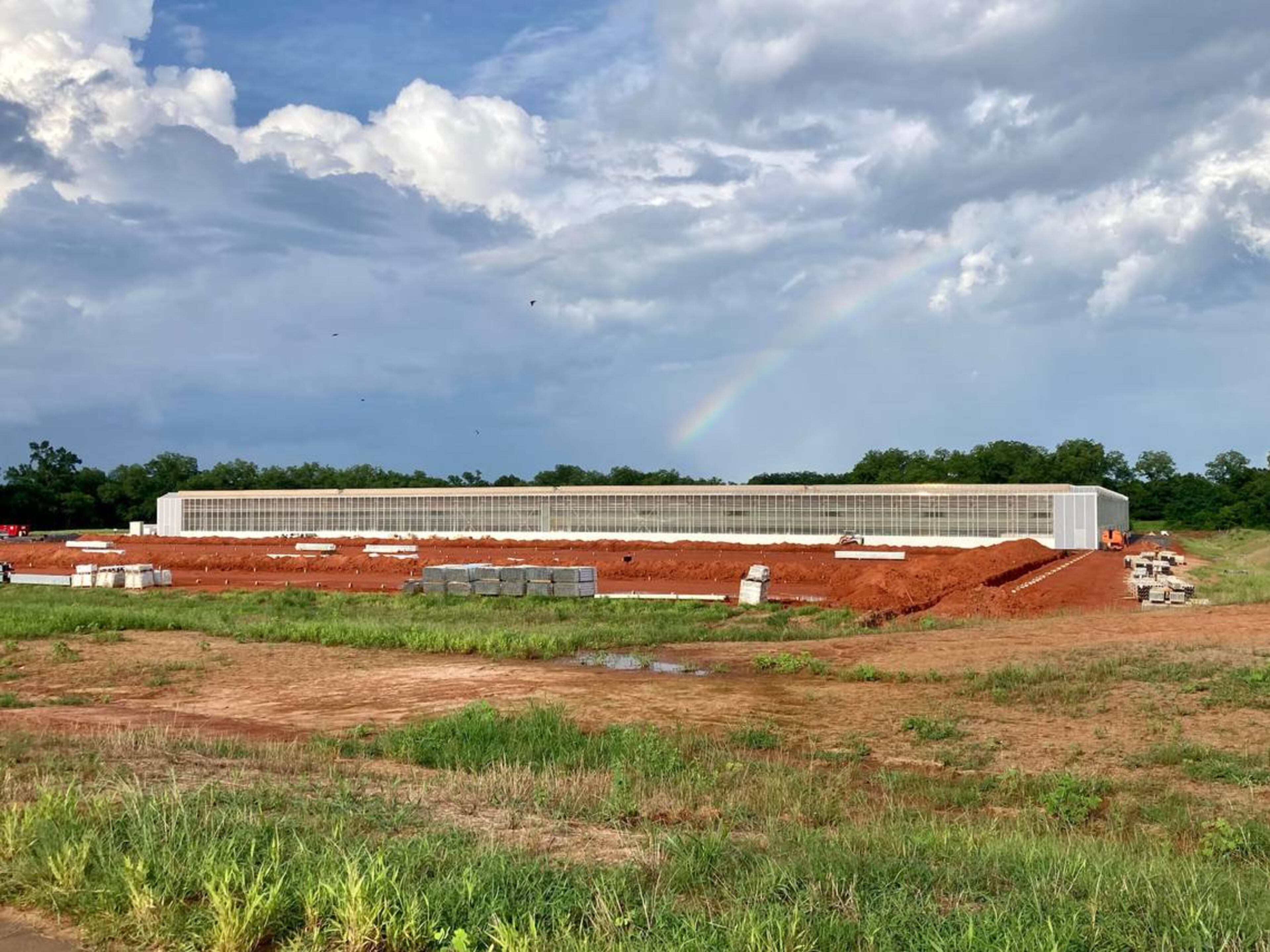 Local Bounti acquired Hollandi Produce Group, which operated under the name of Pete’s, effective April 4, and announced on July 14, the “commencement of farming operations” at the hydroponic greenhouse. This photo was taken July 14. (Courtesy of Becky Purser/The Telegraph)