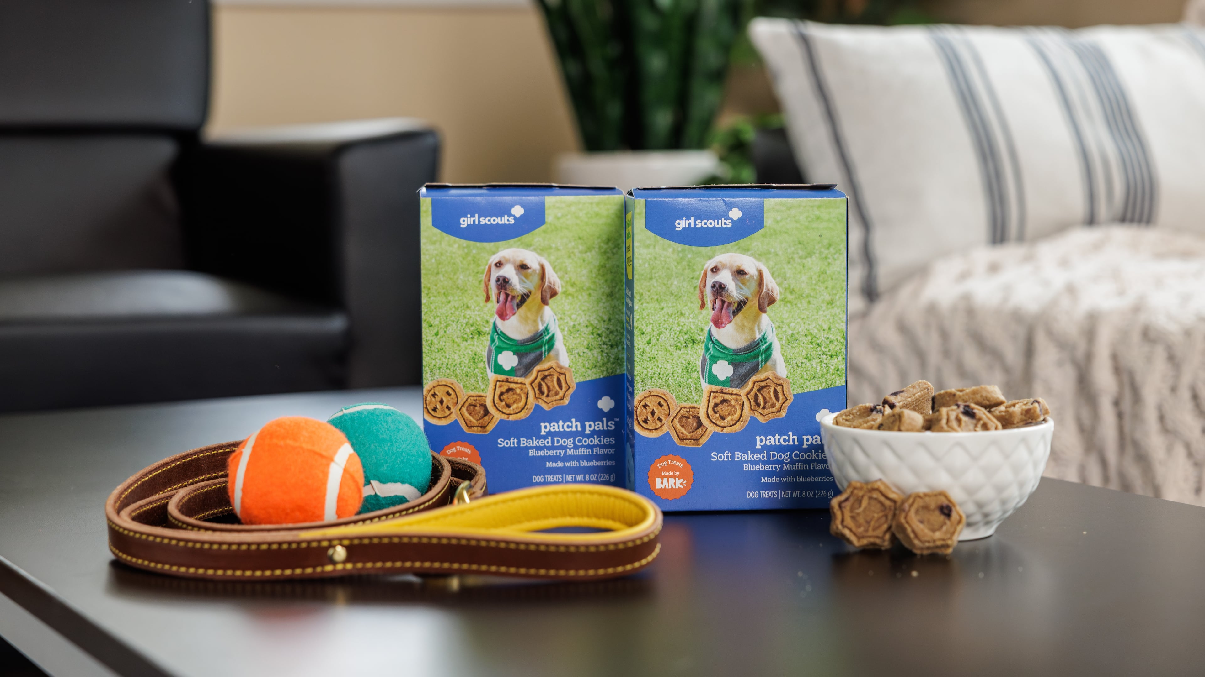 This Aug. 19, 2026 image provided by Girl Scouts of the USA shows their cookies for dogs – dubbed Patch Pals. (Girl Scouts of the USA via AP)