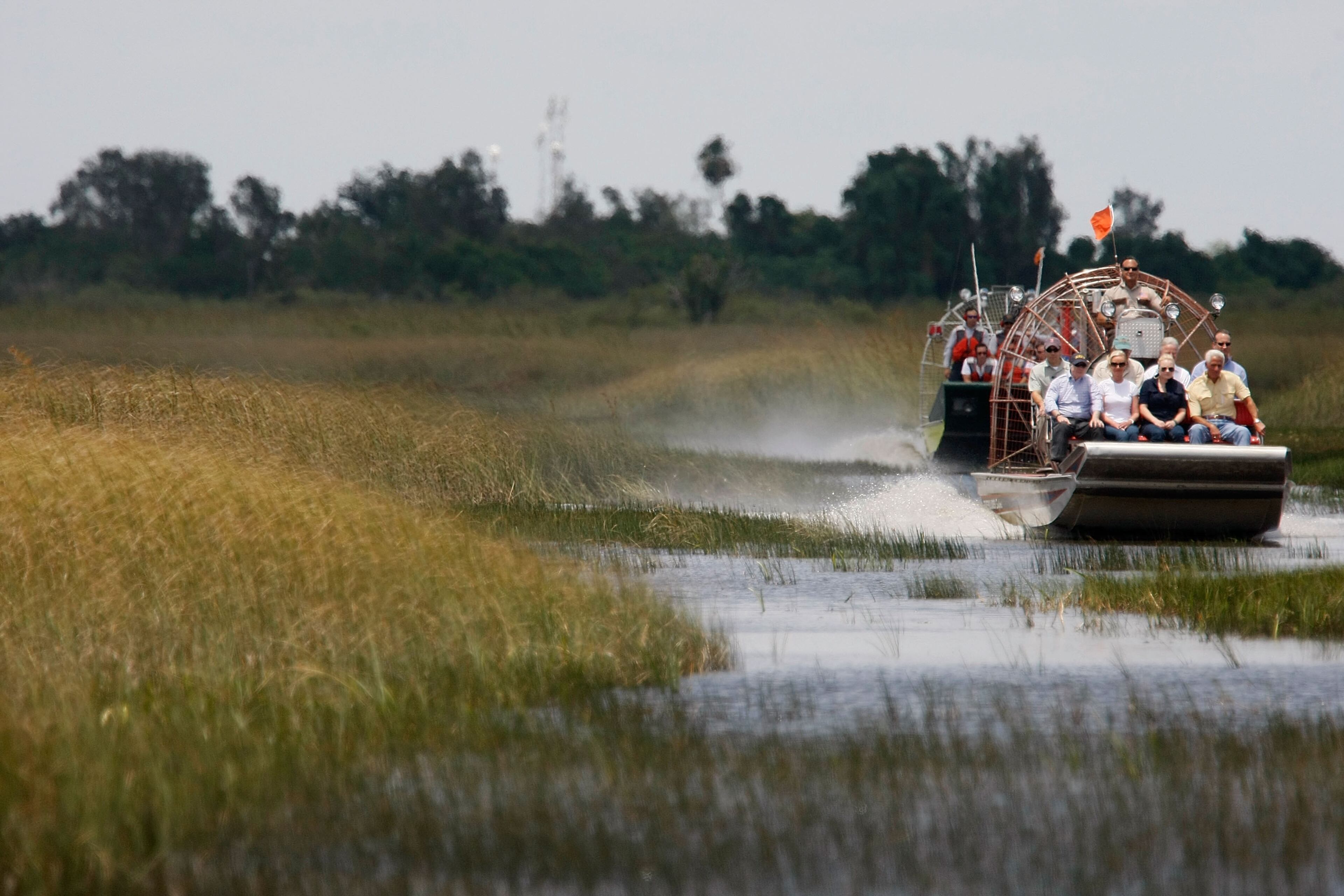 You can tour the Everglades by airboat in Miami. This tour is great for nature lovers and adventure seekers who want to get a bit more out of their vacation in Miami.