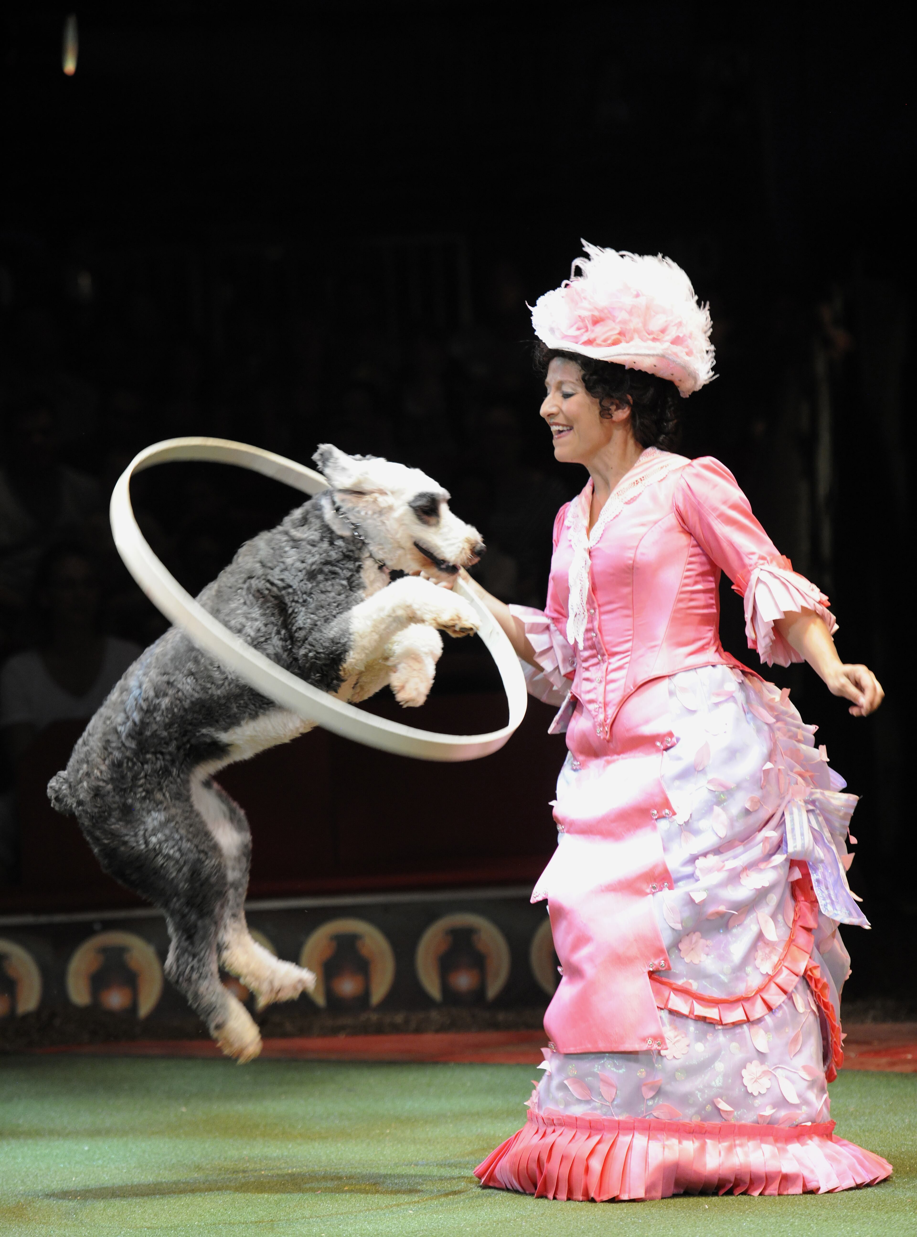 Jenny Vidbel exudes pure pride with her handsome horses, prancing ponies and perky pups in the Big Apple Circus. The traveling show returns to town this weekend after a two-year hiatus.