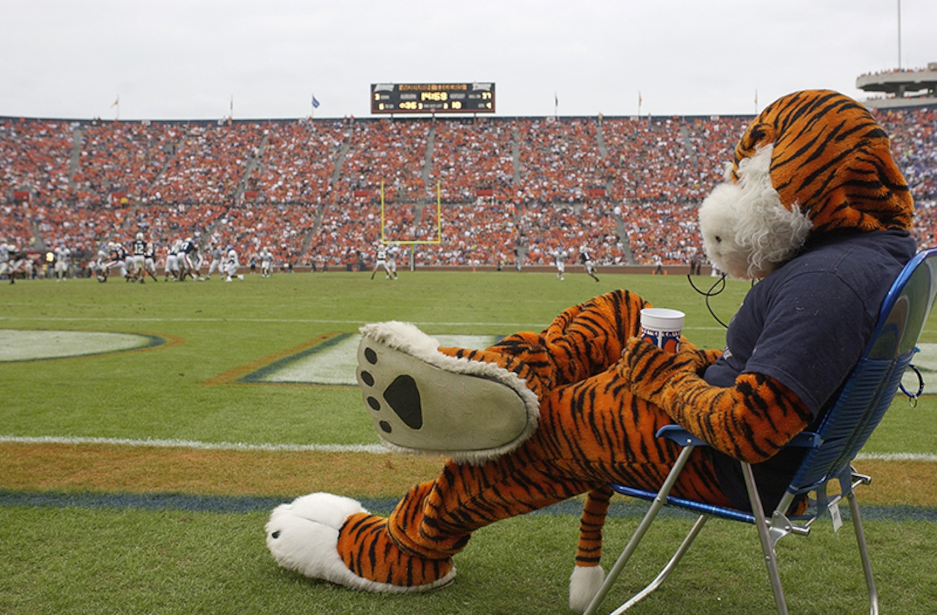 4. Aubie made his debut on the Auburn sidelines in 1979, most likely not on a fold out chair.