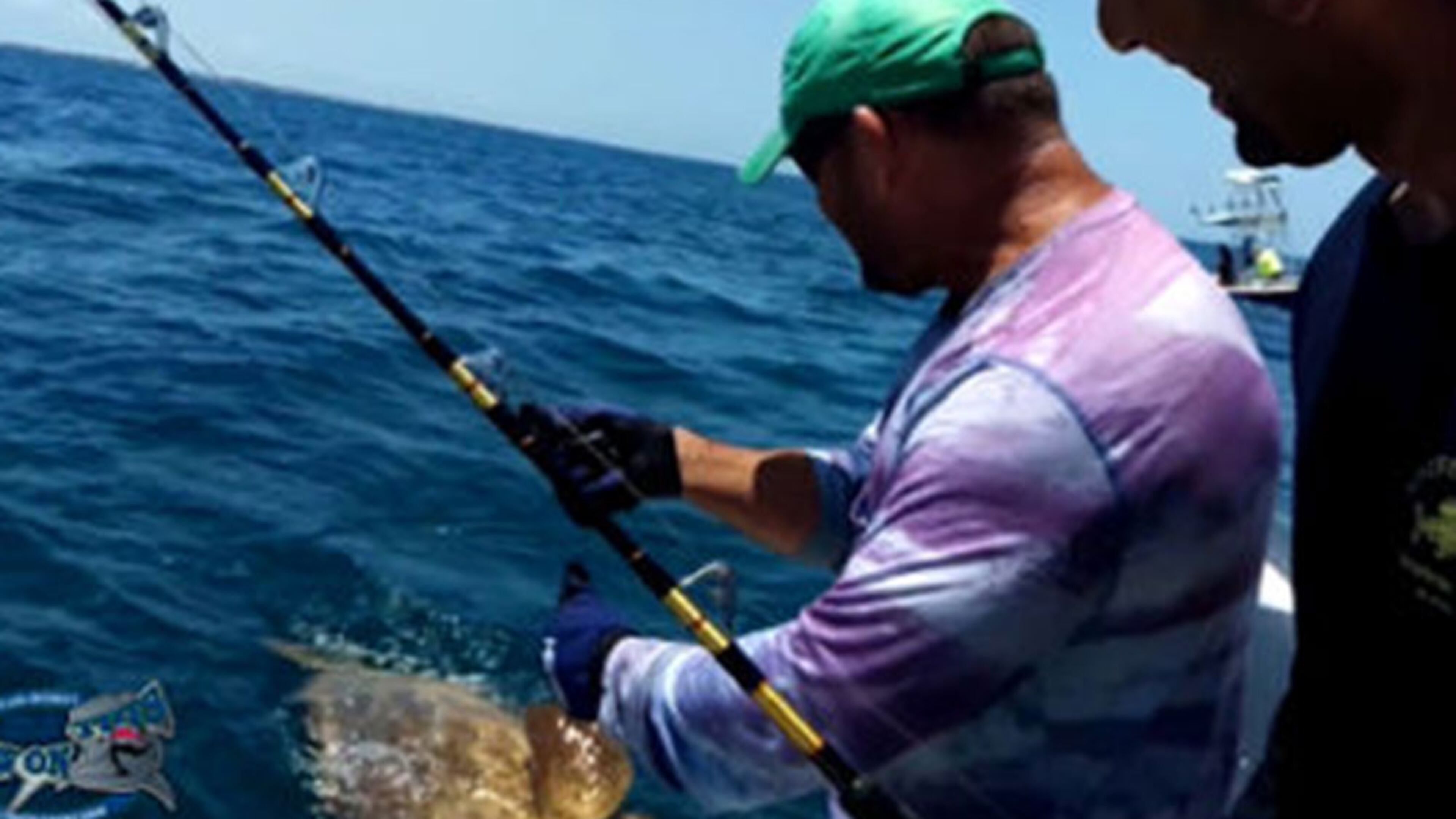 Photo of the 400-pound grouper being reeled in