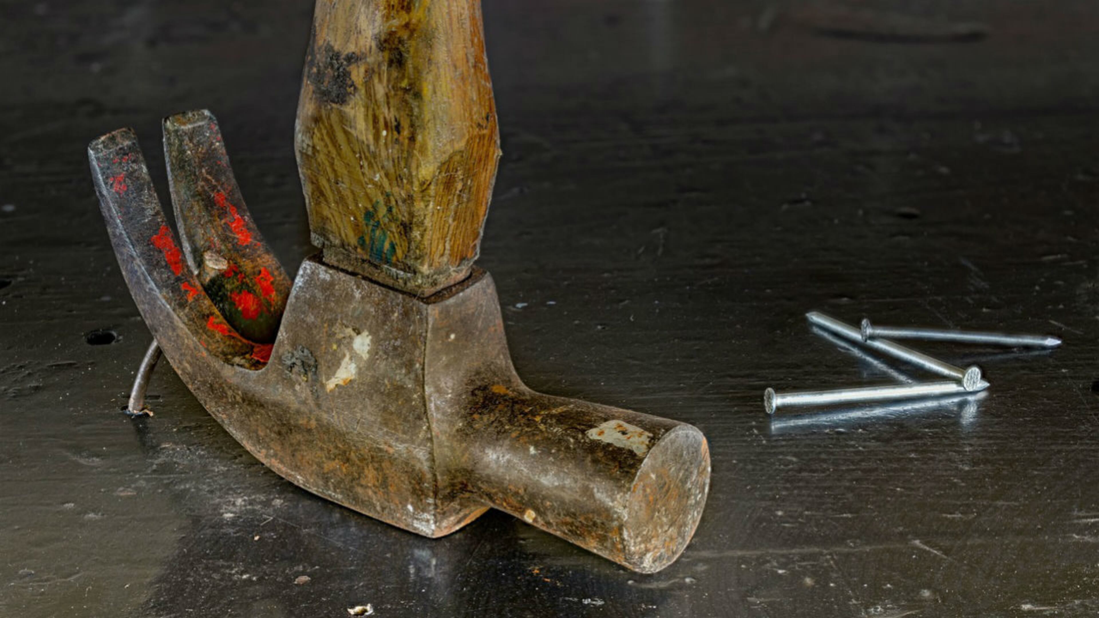 FILE PHOTO: An 89-year-old Florida woman known to her family as “Grandma Bunny” bashed in the head of a 6-foot-long snake after she caught the reptile eating a bird in her backyard. (Photo: Skitterphoto/Pixabay)