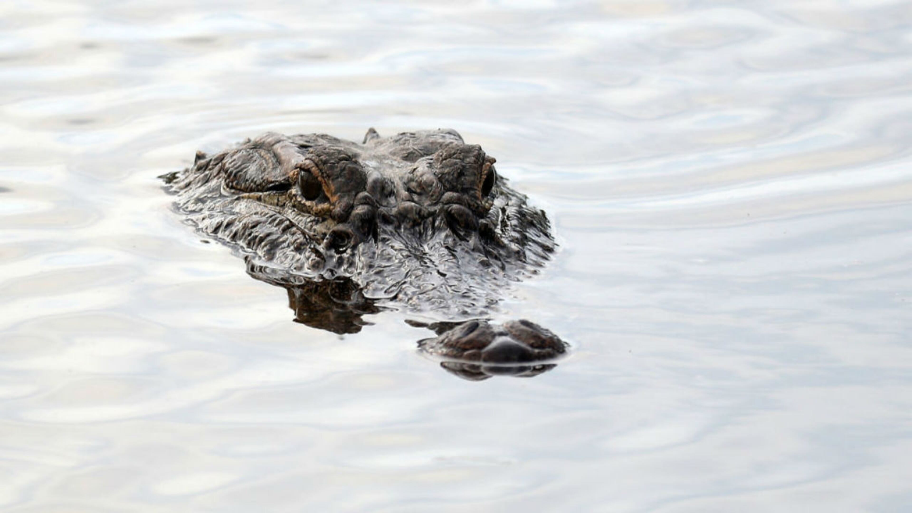 File photo. (Photo: Rob Carr/Getty Images)