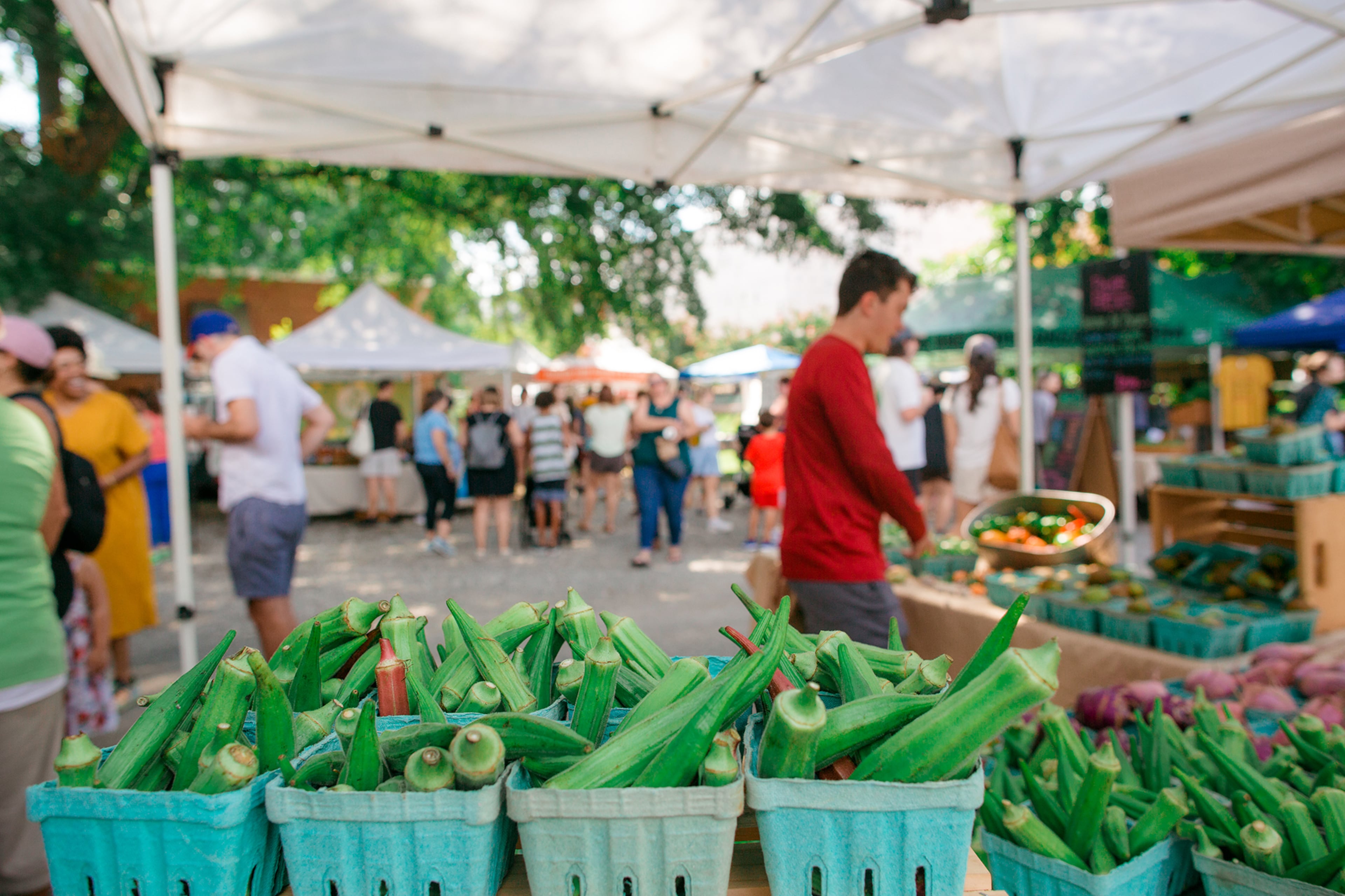 When summer’s heat arrives, farmers will be bringing okra to the Sunday morning Grant Park Farmers Market.
Courtesy of Community Farmers Markets