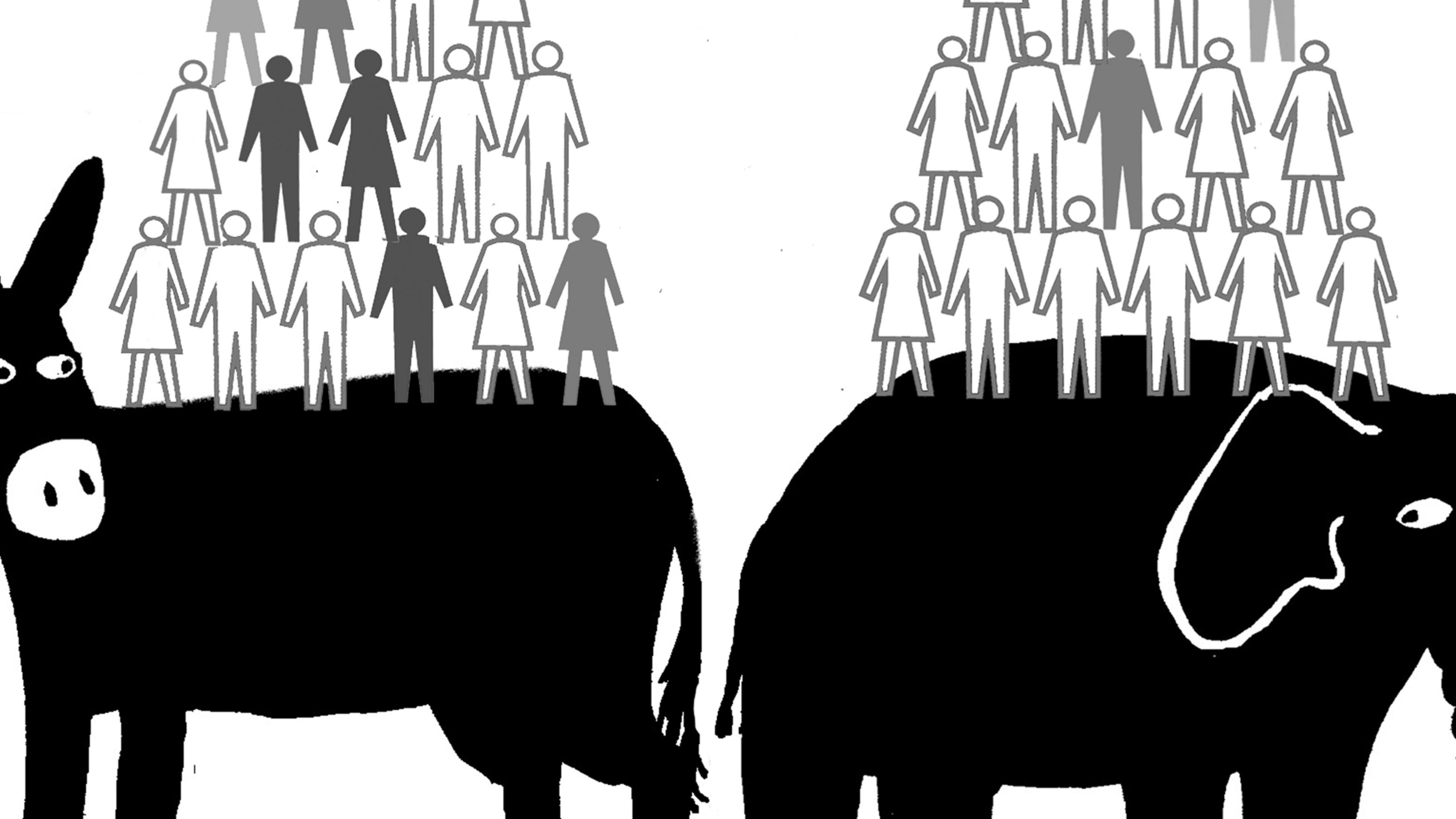 Barry Maguire/NewsArt