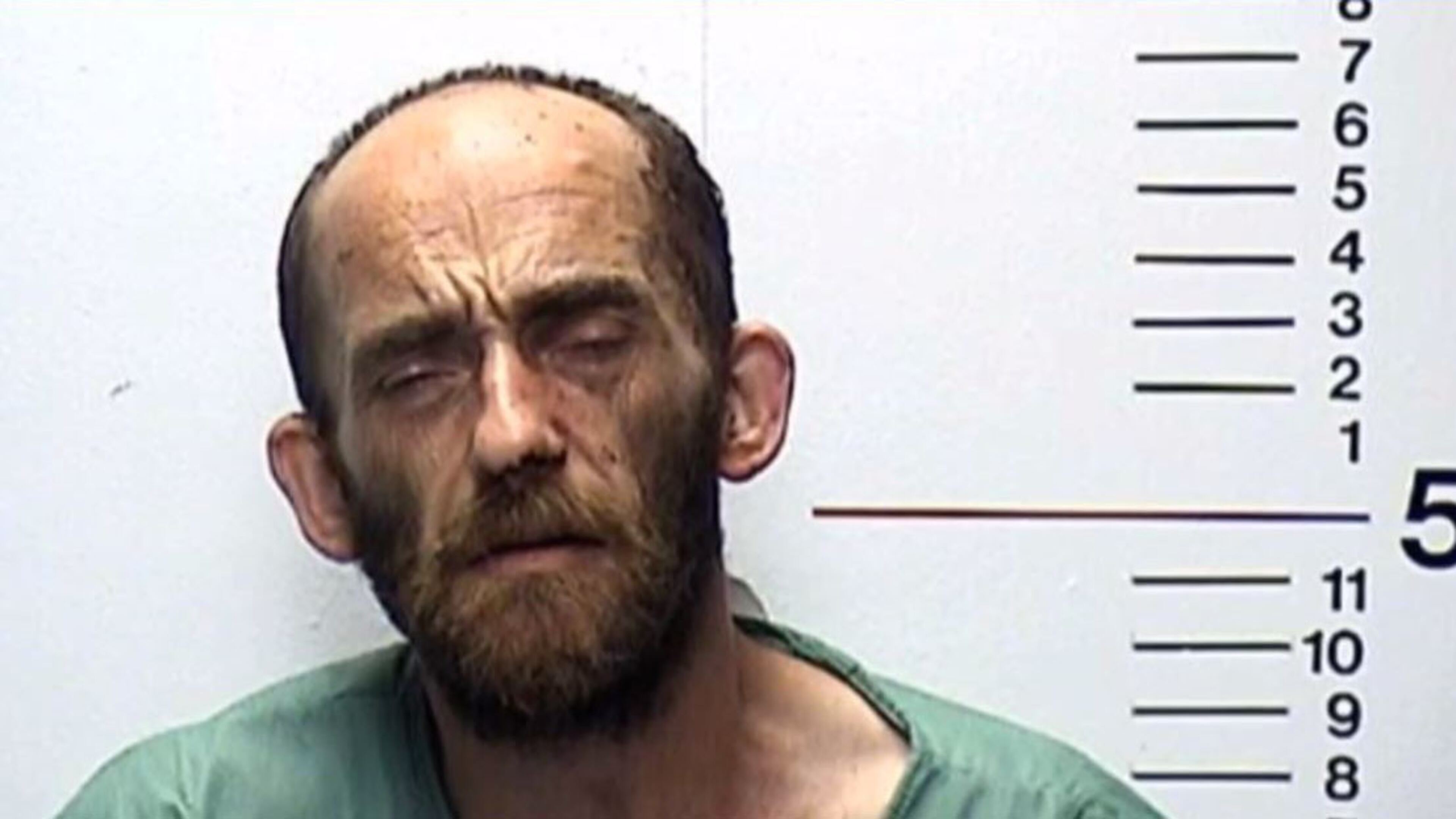 Michael McClain is facing felony charges after a woman discovered him sleeping in her bed with his pants down, holding a hatchet.