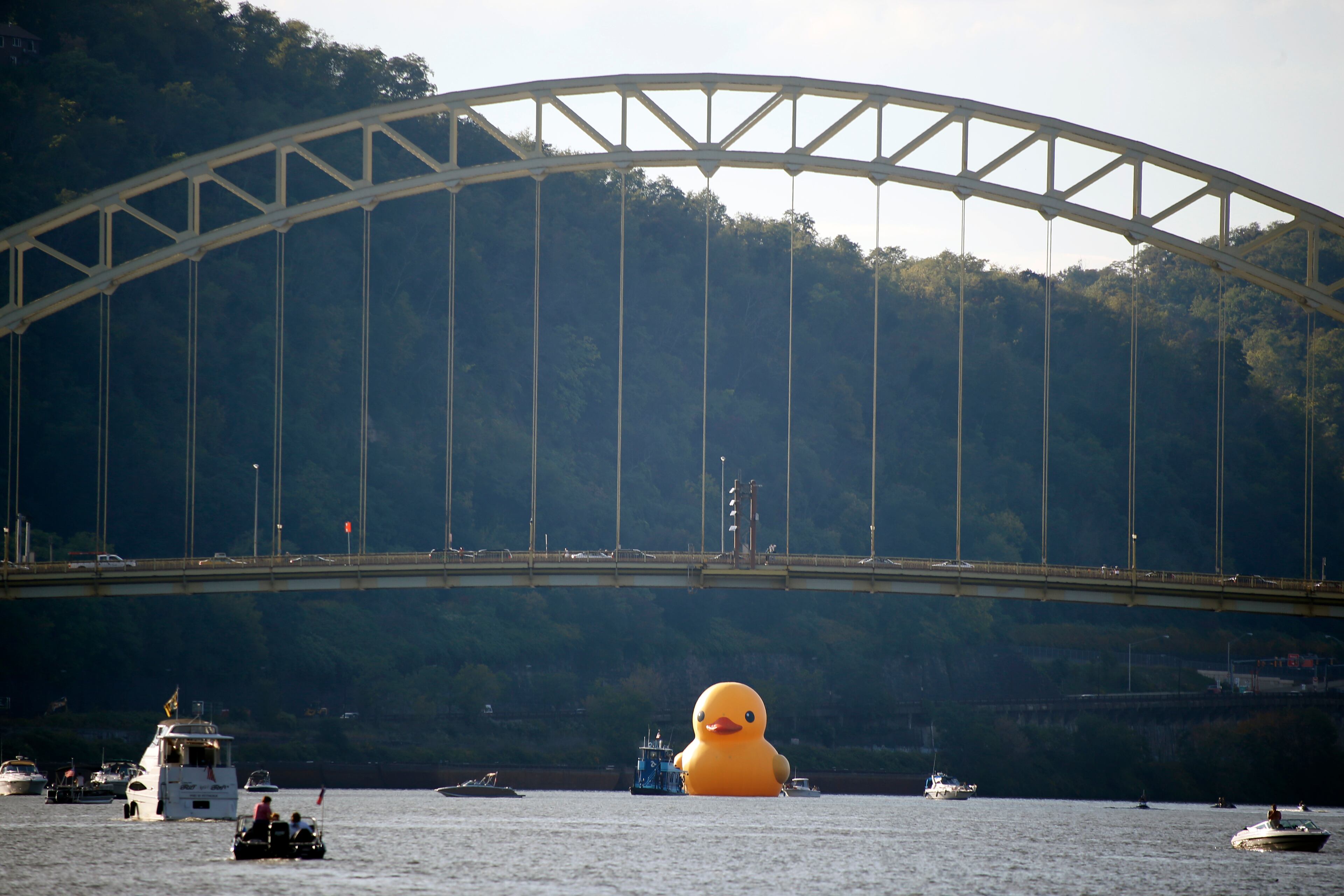 A version of Dutch artist Florentijn Hofman giant "Rubber Duckie" is towed up the Ohio River under the West End Bridge for its debut in Pittsburgh on Friday, Sept. 27, 2013, in Pittsburgh. Pittsburgh's duck is the first "Made-in-the-USA" version of the Dutch artists creation. The ducks arrival kicks off the month-long Pittsburgh International Festival of Firsts, which features theater, dance, music and visual arts from around the world. After the opening night the duck will be moored downtown until Oct. 20, 2013. (AP Photo/Keith Srakocic)