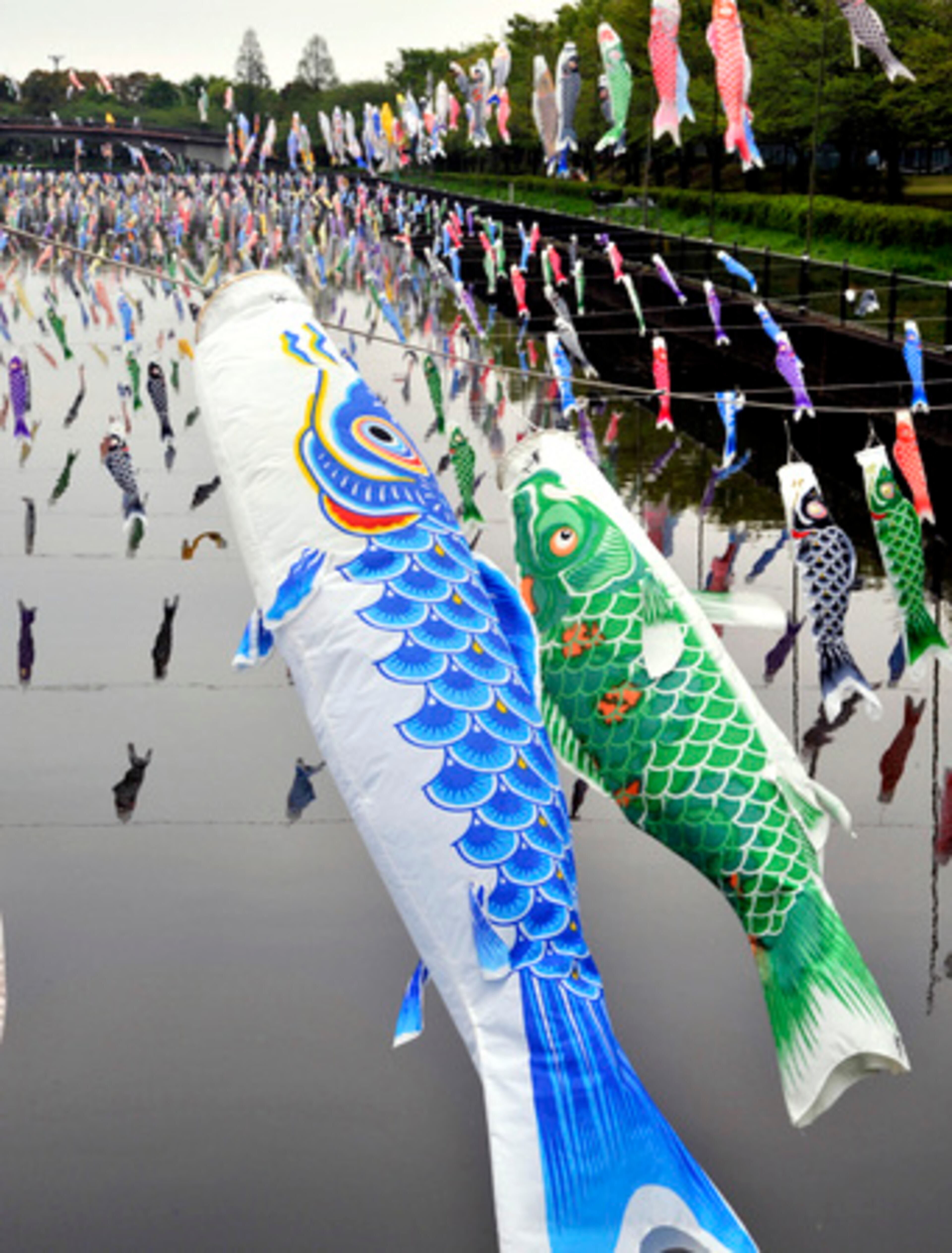 Colorful carp streamers called koinobori fly over the Turuuda River in Tatebayashi, Gunma prefecture, north of Tokyo on Monday. The colorful kites are traditionally flown in Japan to celebrate Children's Day, which is slated for May 5.