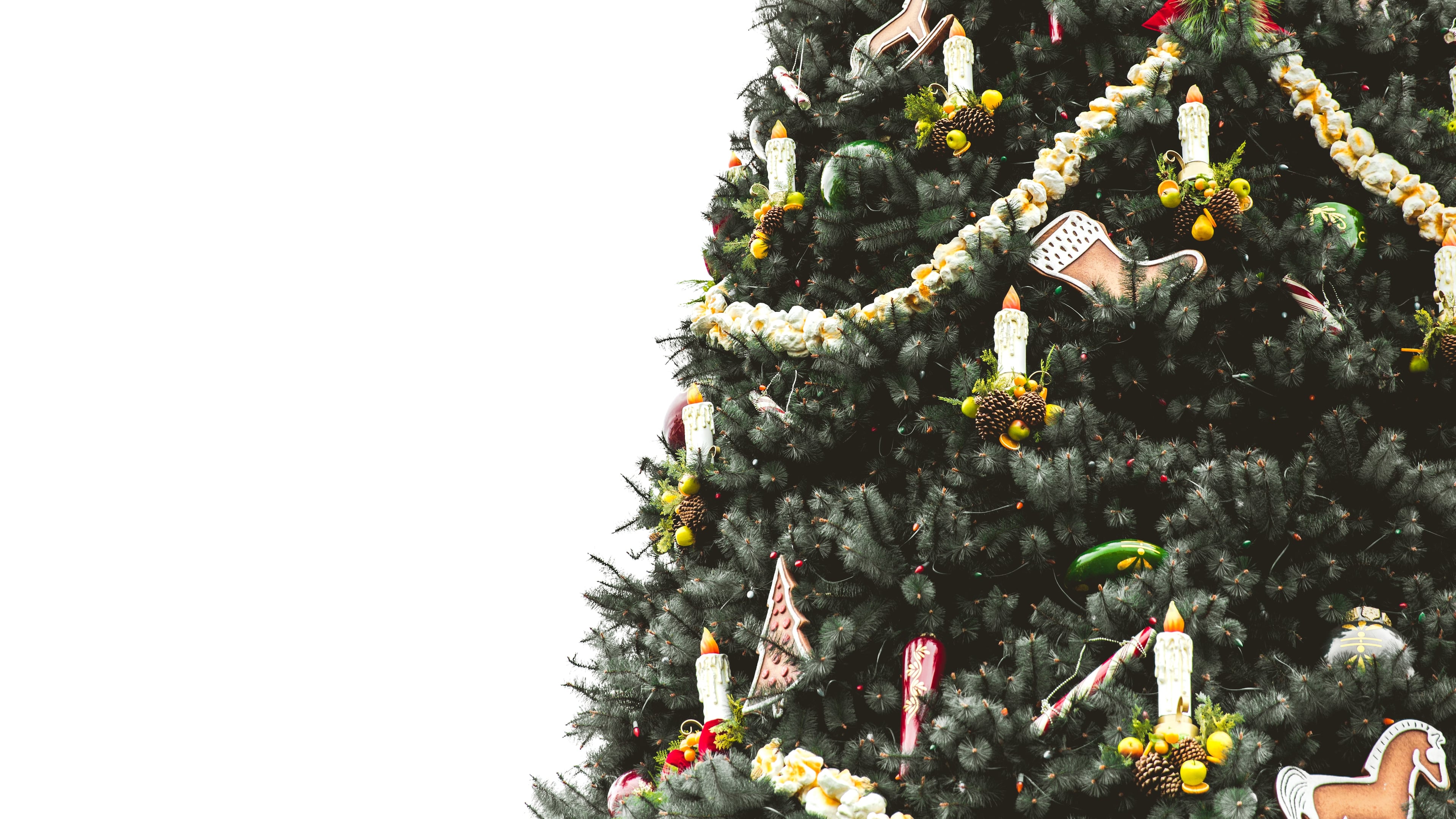 Here are some of our favorite things to do in metro Atlanta this holiday season.