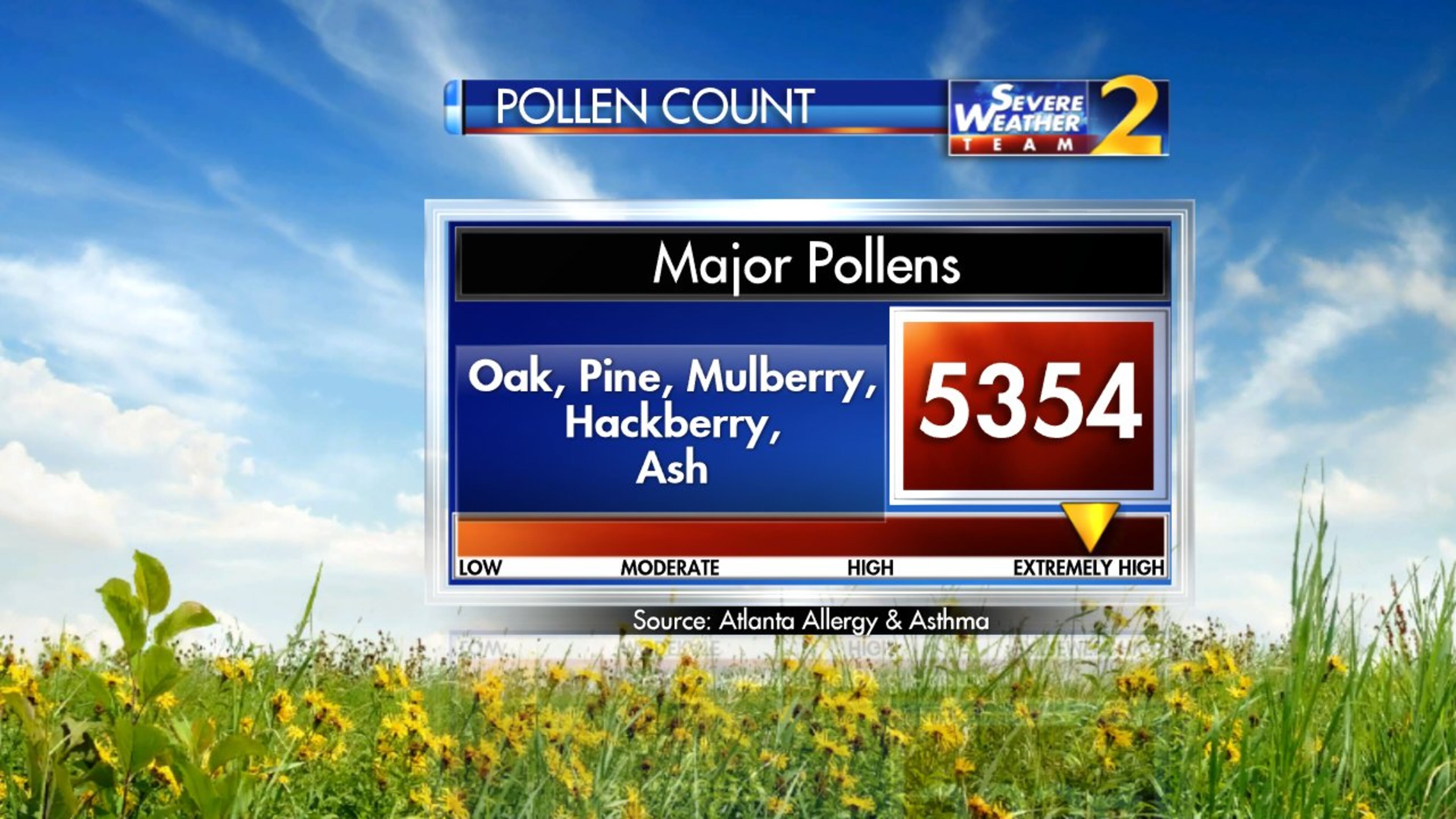 Today’s pollen count — 5,354 particles per cubic meter of air — is the highest since April 9, 2015, according to Atlanta Allergy and Asthma. (Credit: Channel 2 Action News)