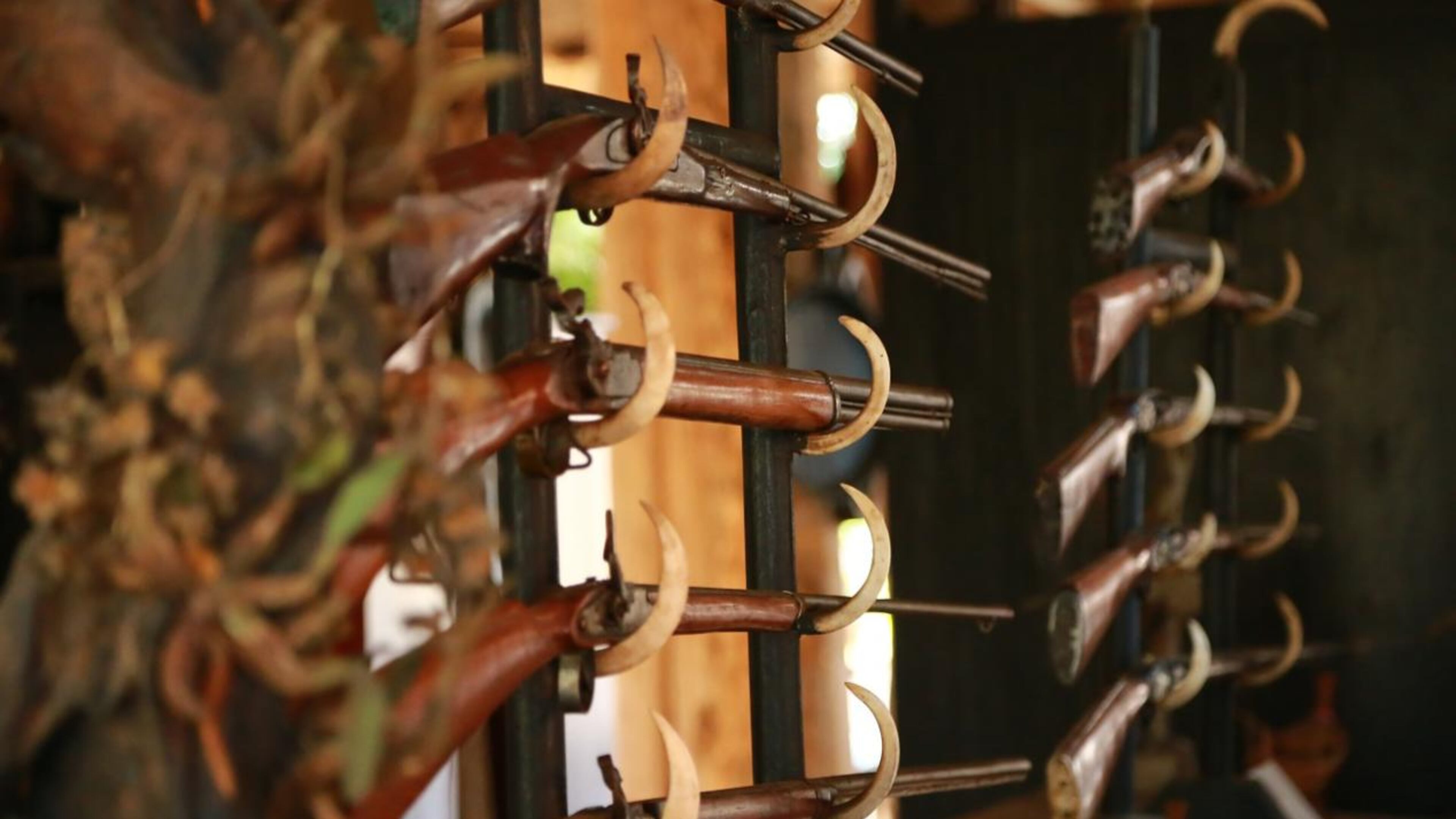 A North Carolina man was shot when he accidentally sprung his own booby trap when he went to feed the squirrels outside his back door.