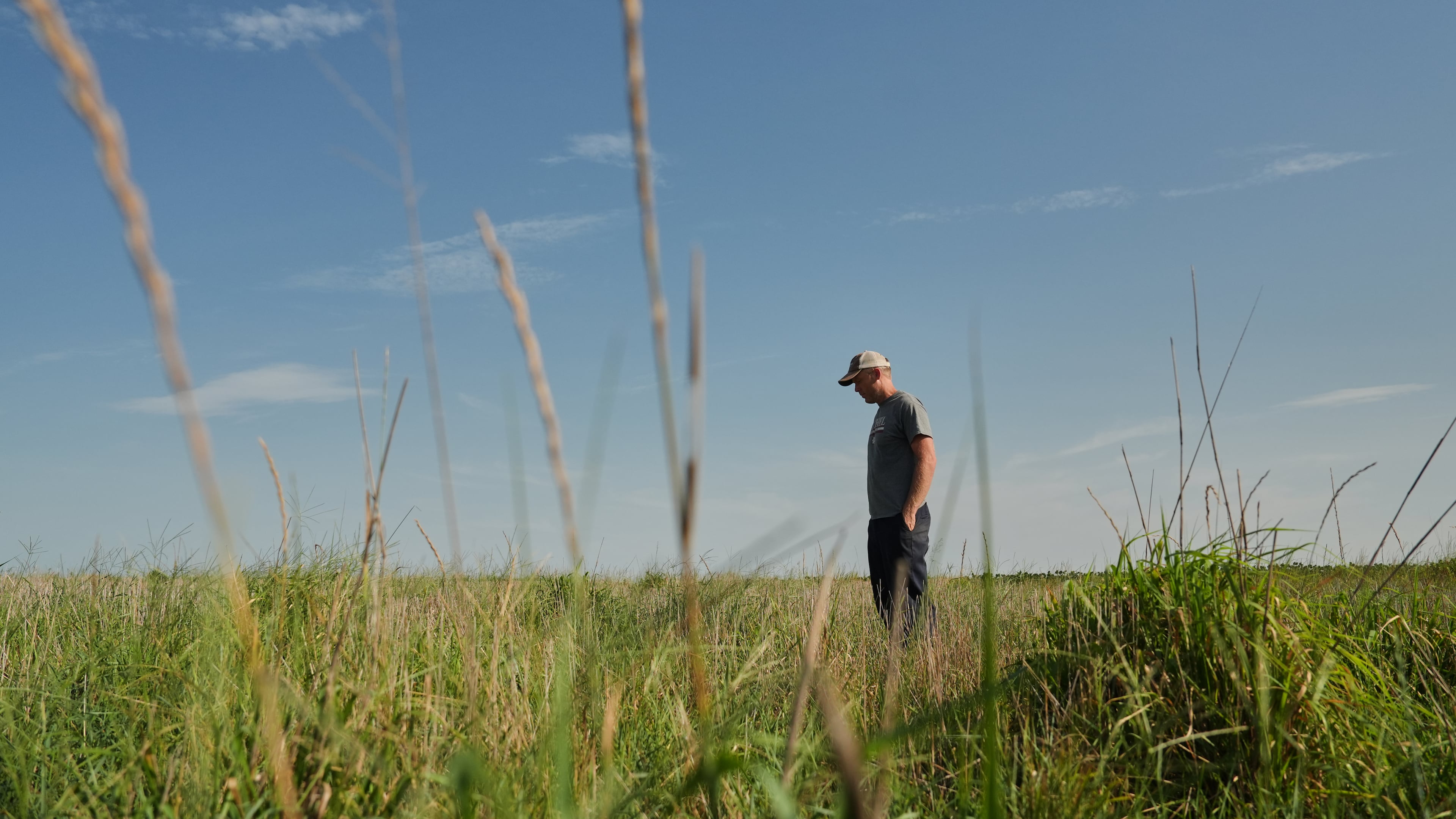 David Mueller stands in his Kernza field Tuesday, July 28, 2026, at his farm in Halstead, Kan. (AP Photo/Joshua A. Bickel)