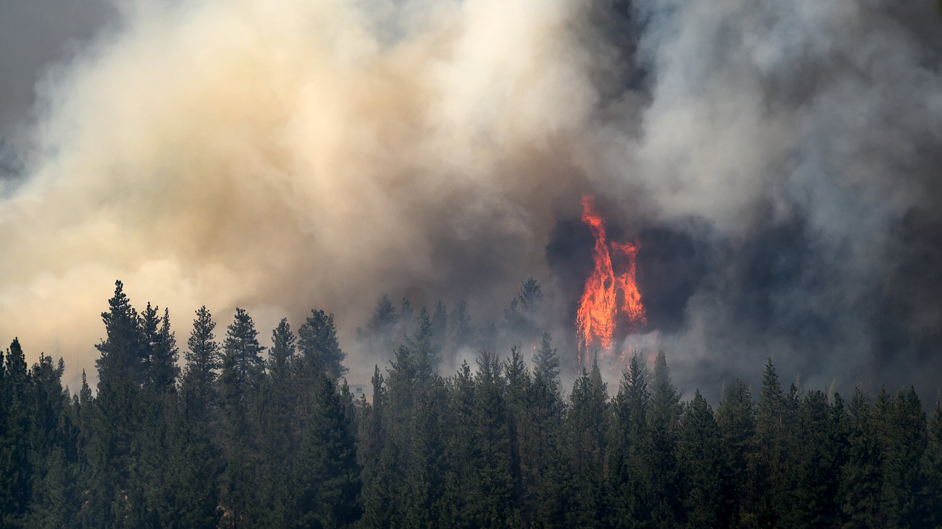 Flames leap above trees as the Akawa Butte fire burns on Friday, July 24, 2026, near Sisters, Ore. (AP Photo/Noah Berger)