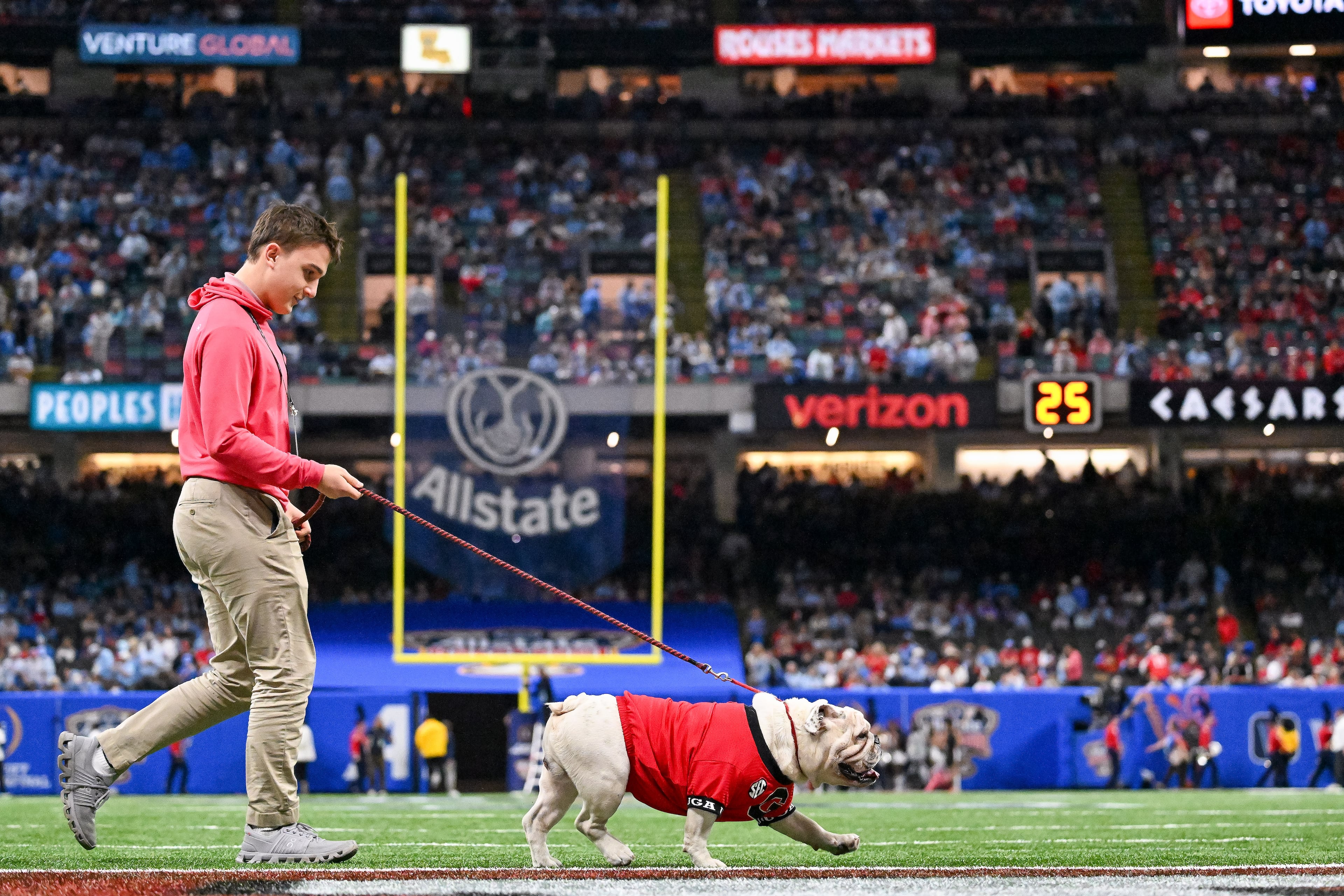 The Georgia mascot Uga XI prowls the end zone before the Georgia vs. Ole Miss NCAA College Football Playoff quarterfinal game at the Sugar Bowl in the Caesars Superdome, Thursday, Jan. 1, 2026, in New Orleans. (Hyosub Shin/AJC)