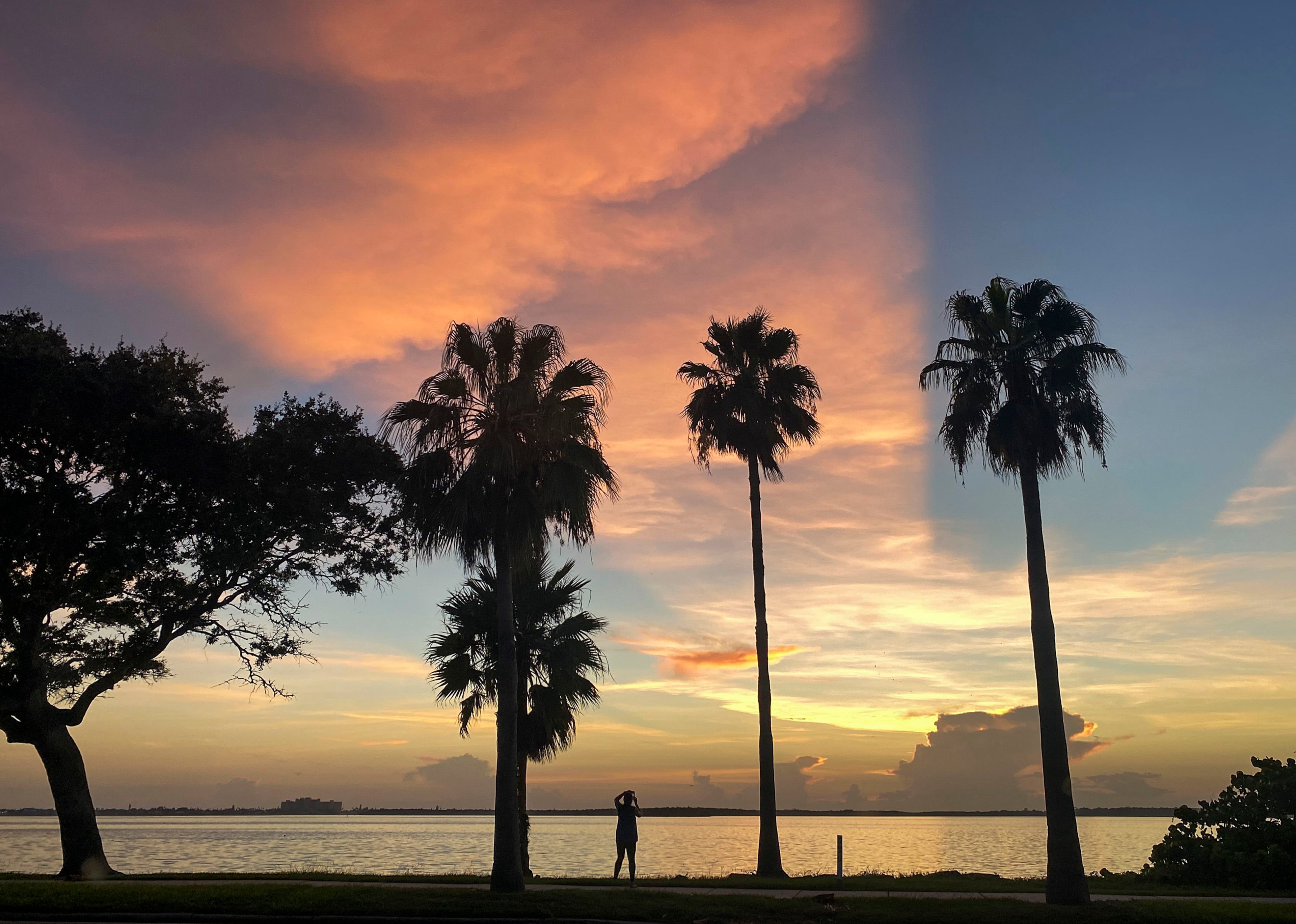 A walker stops to take a picture of the sunset along Edgewater Drive in Dunedin. (Chris Urso/Tampa Bay Times/TNS)