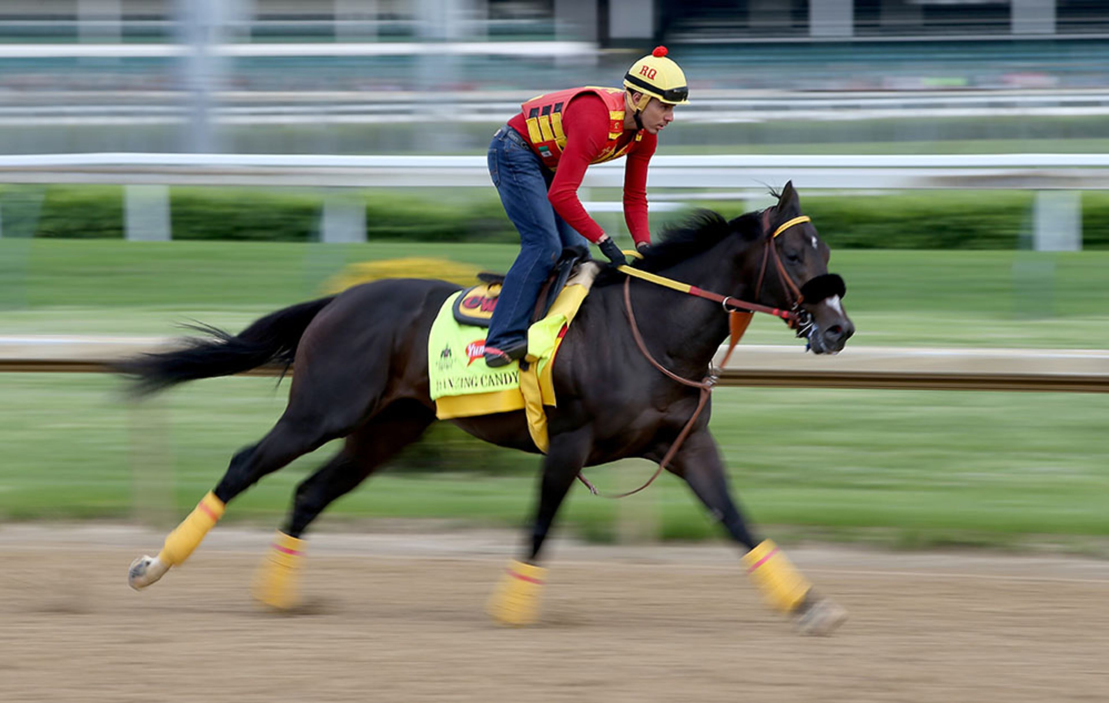 Danzing Candy runs on the track during the morning training for the 2016 Kentucky Derby at Churchill Downs. Danzing Candy has 15-1 odds to win.