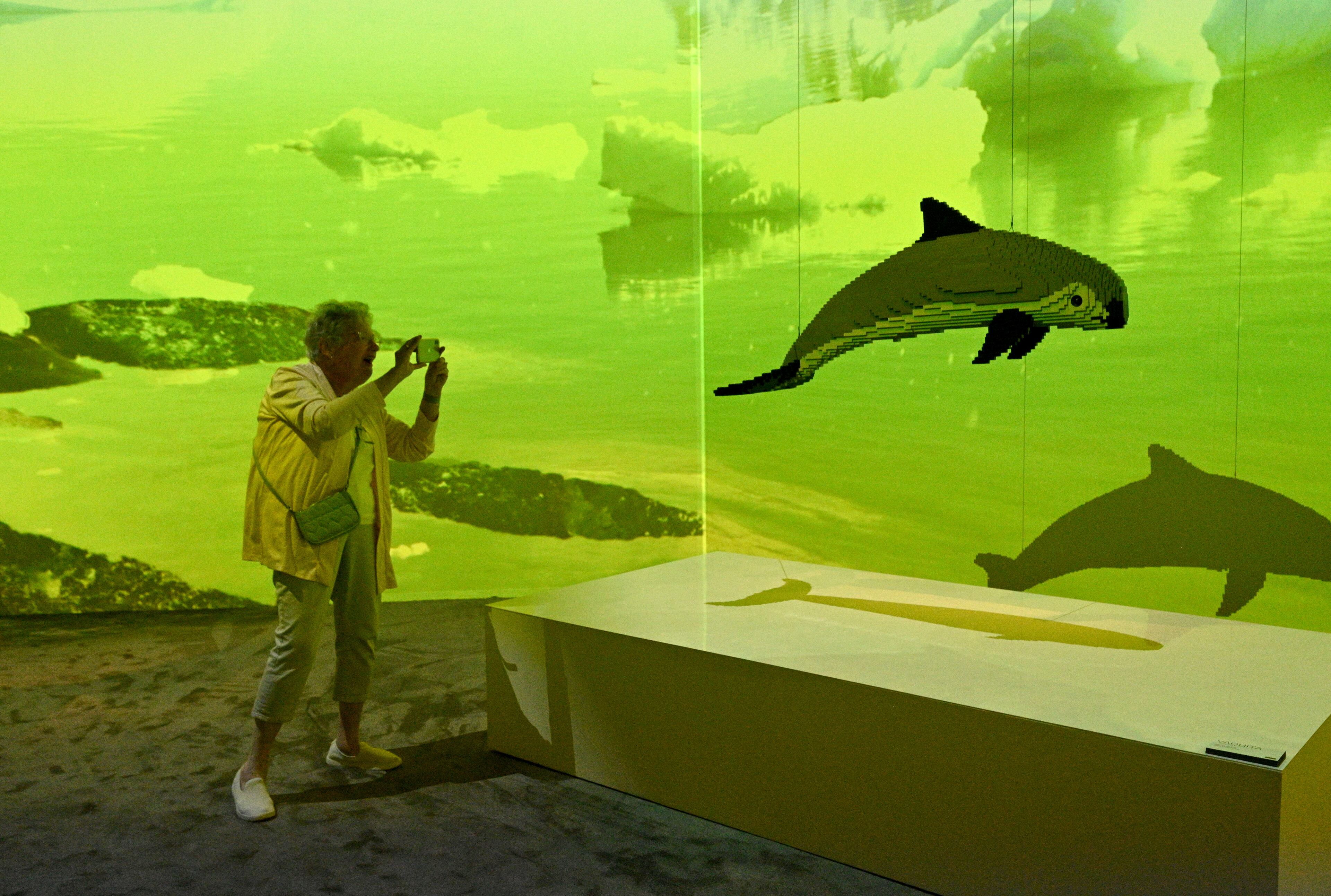 Arlene Shemaka of Woodstock takes a picture of Lego sculptures at "Art of the Brick Immersive Experience" exhibition at Exhibition Hub Atlanta Art Centre, Wednesday, April 19, 2023, in Doraville. The exhibition will feature many pieces and themes, including a room with oversized sculptures (25-foot long), over 70 works of art crafted from more than 1 million LEGO bricks, galleries celebrating human-kind and nature, and a short documentary about how Nathan creates his works. (Hyosub Shin / Hyosub.Shin@ajc.com)