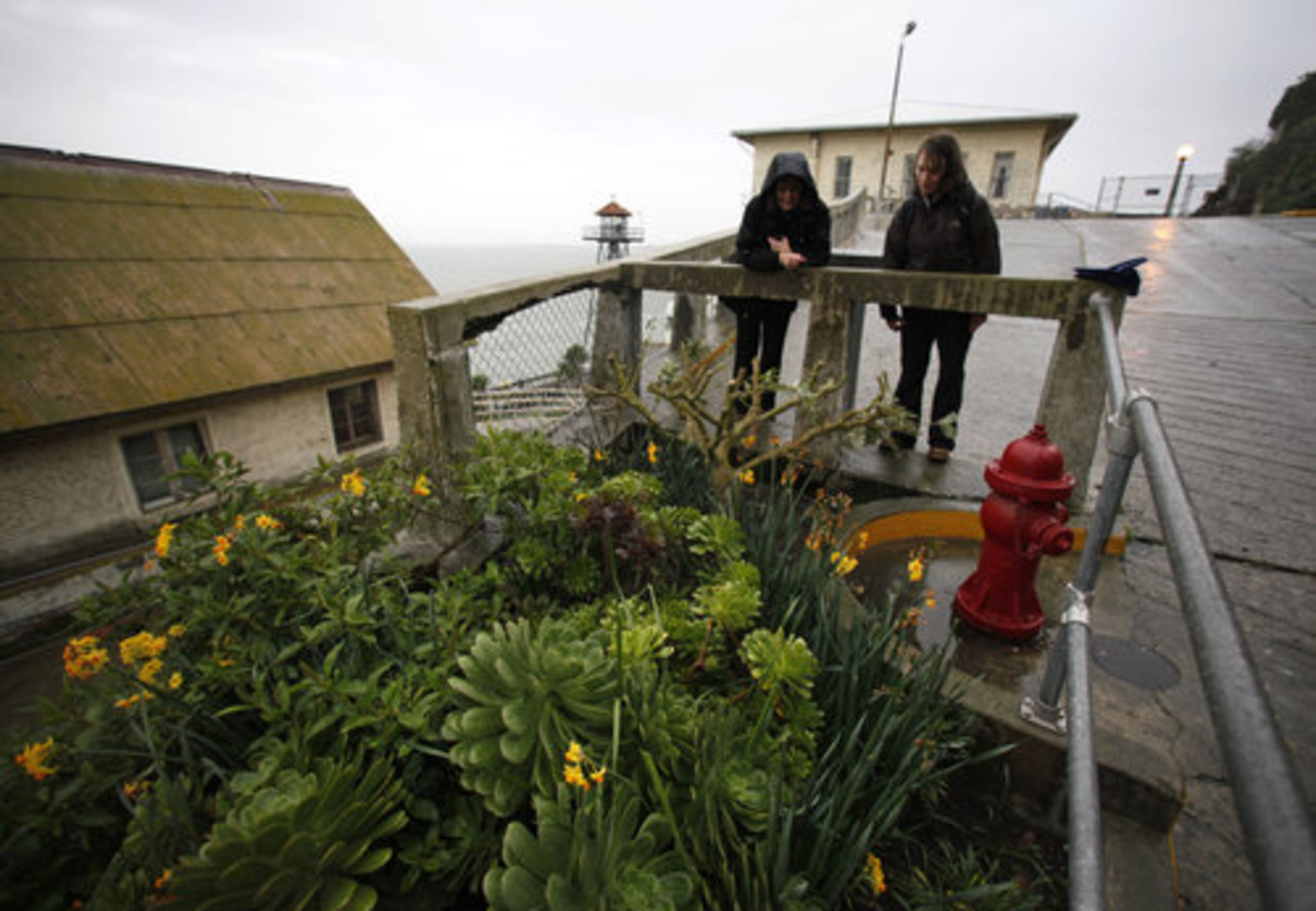 Shelagh Fritz, right, project manager of the Alcatraz Historic Gardens Project, and Dawn Stranne of the Gardens Conservancy look over plants and flowers in a restored garden on Alcatraz Island in San Francisco.