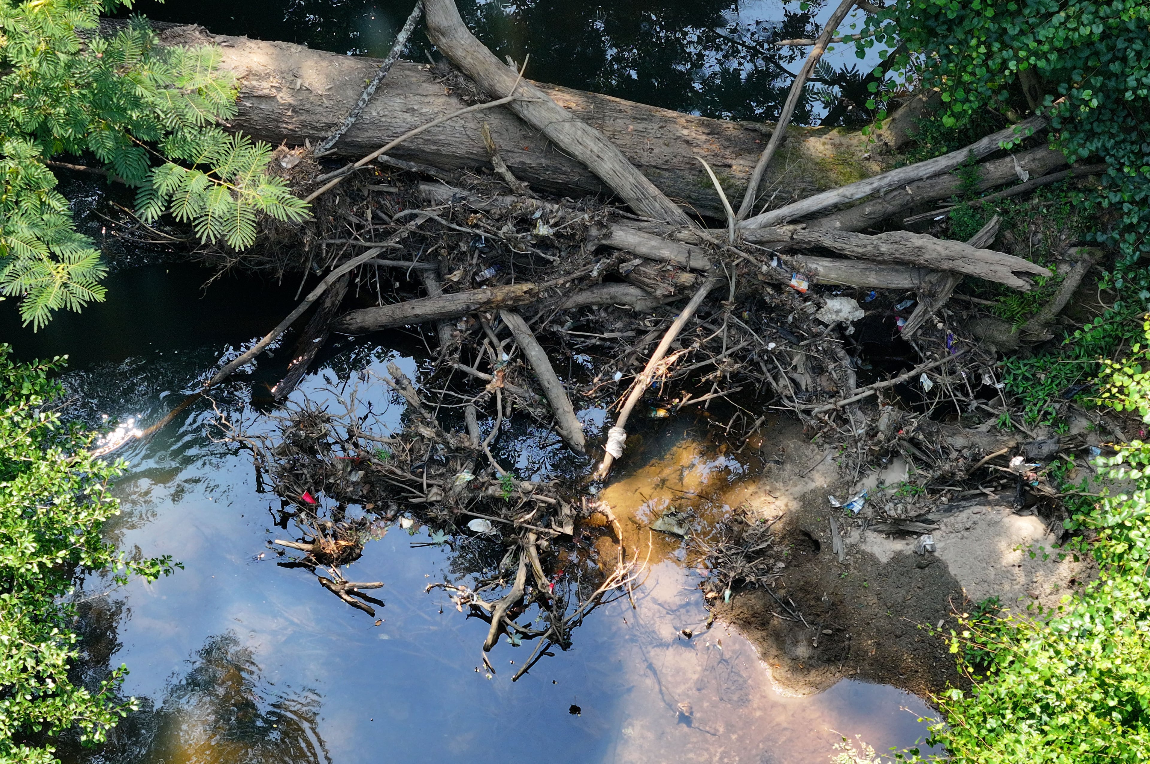Atlanta is investigating a new fish kill on a different metro area river